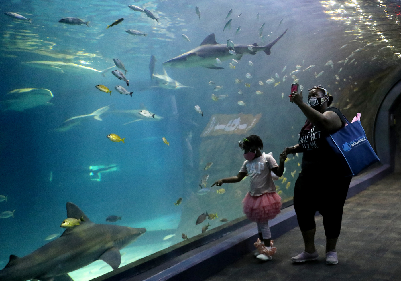 As N.J. aquarium reopens at low capacity, you'll have the sharks all to ... - KTPXPMNWANAIPNKTEZXJAART3A