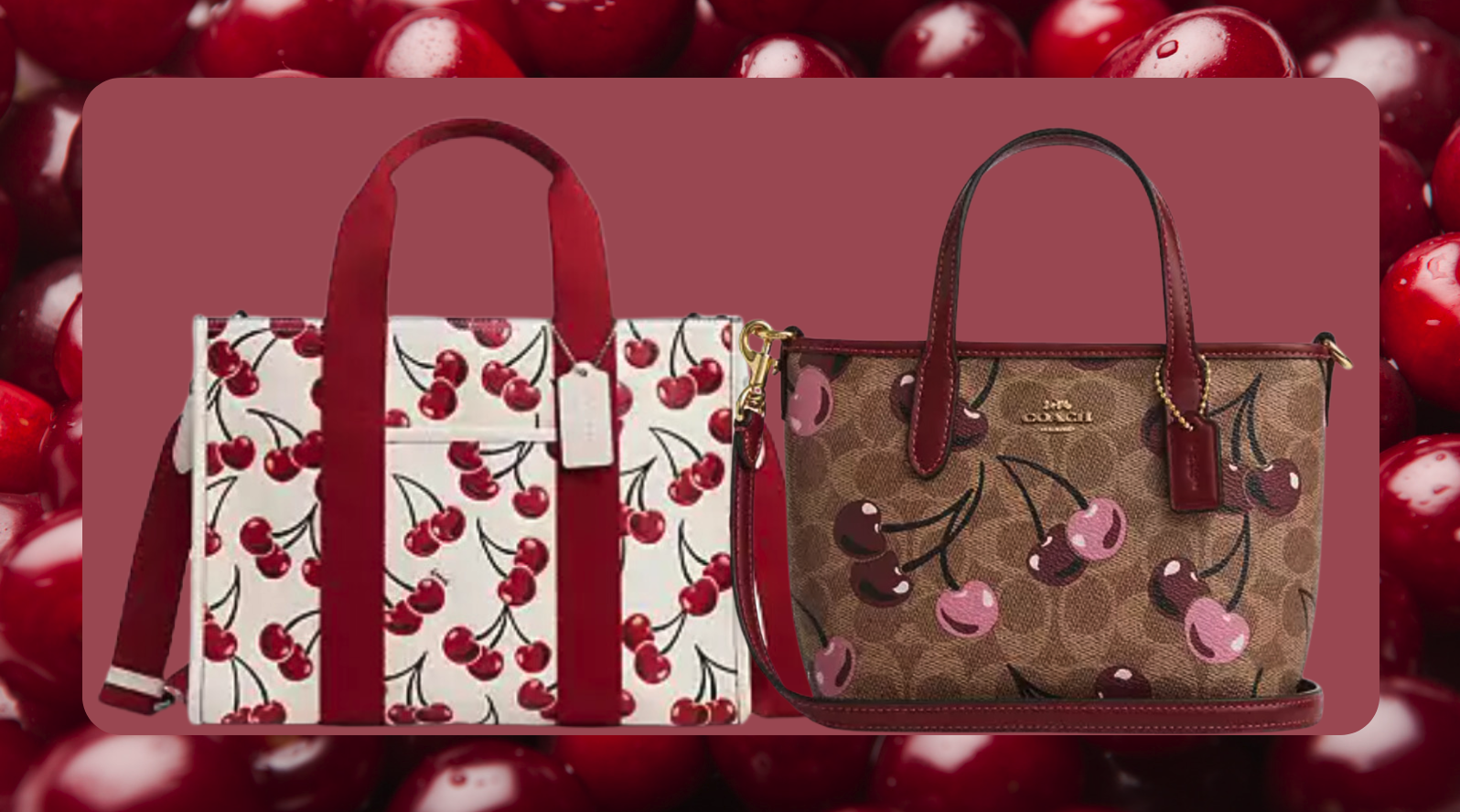 Coach Outlet drops all-new Cherry Collection and it's the sweetest