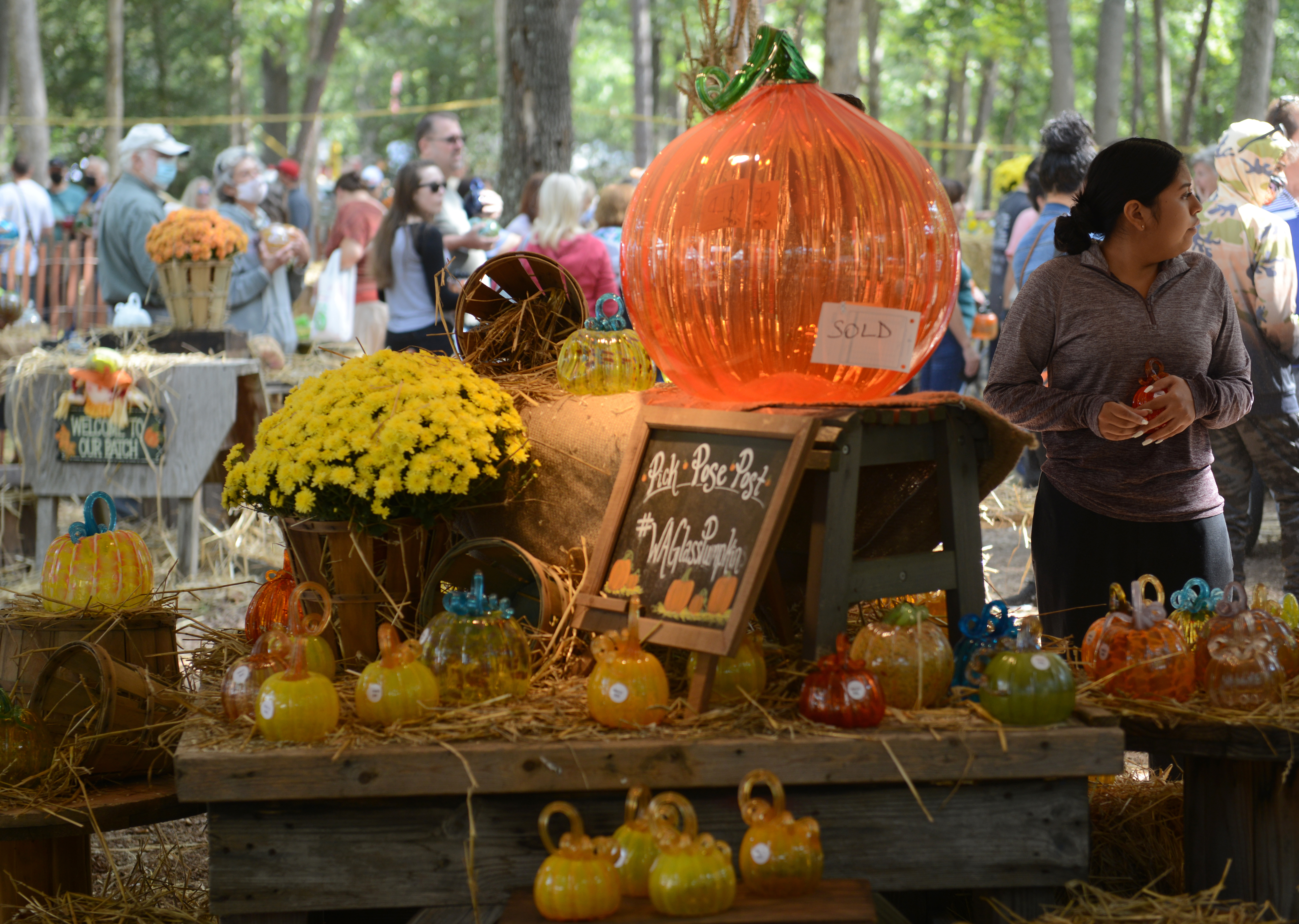 Handcrafted glass pumpkins are display in the glass pumpkin patch during the 22nd annual Festival of Fine Craft at Wheaton Arts in Millville, Saturday, Oct. 2, 2021.