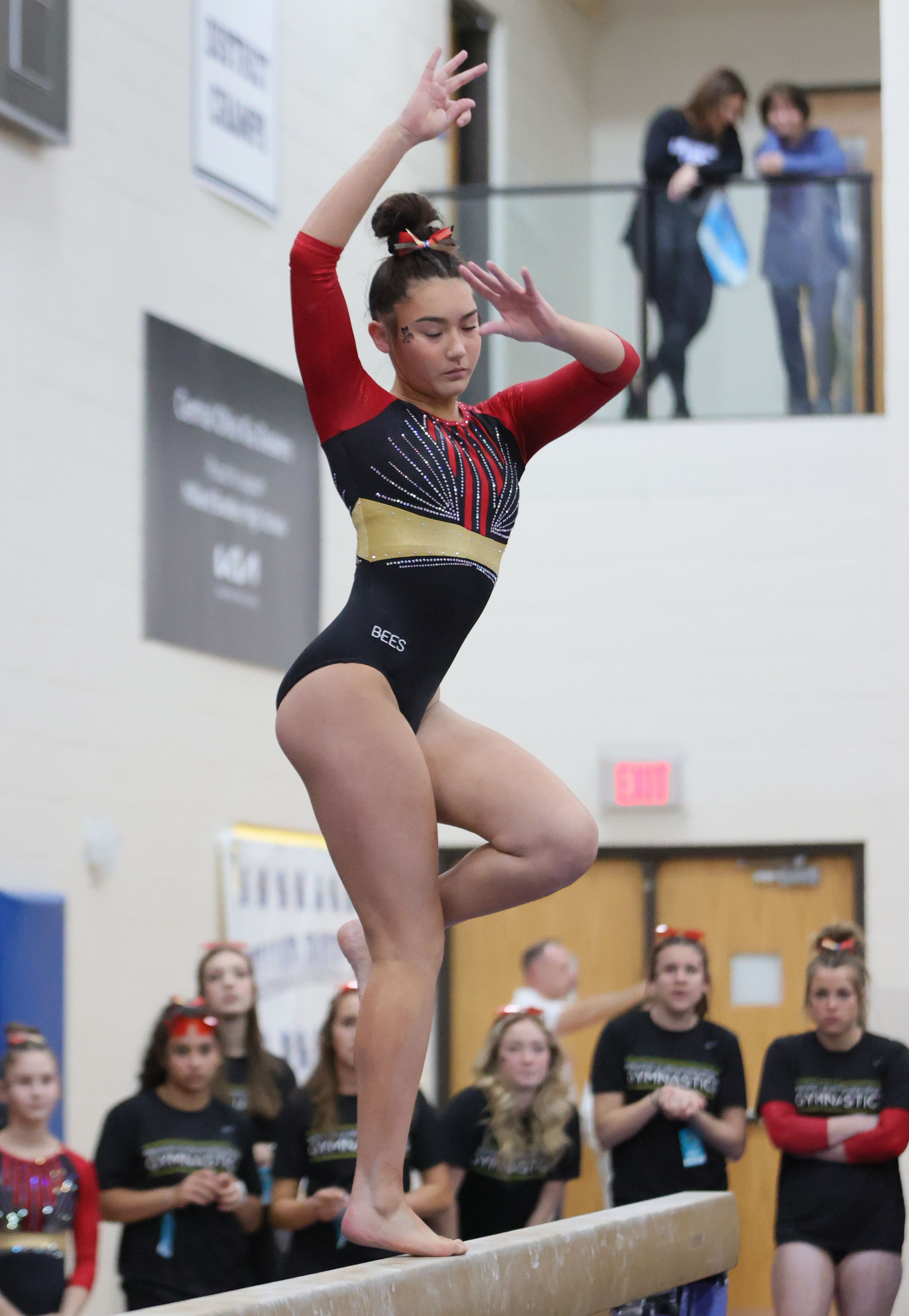 2023 state high school gymnastics team championship, March 3, 2023