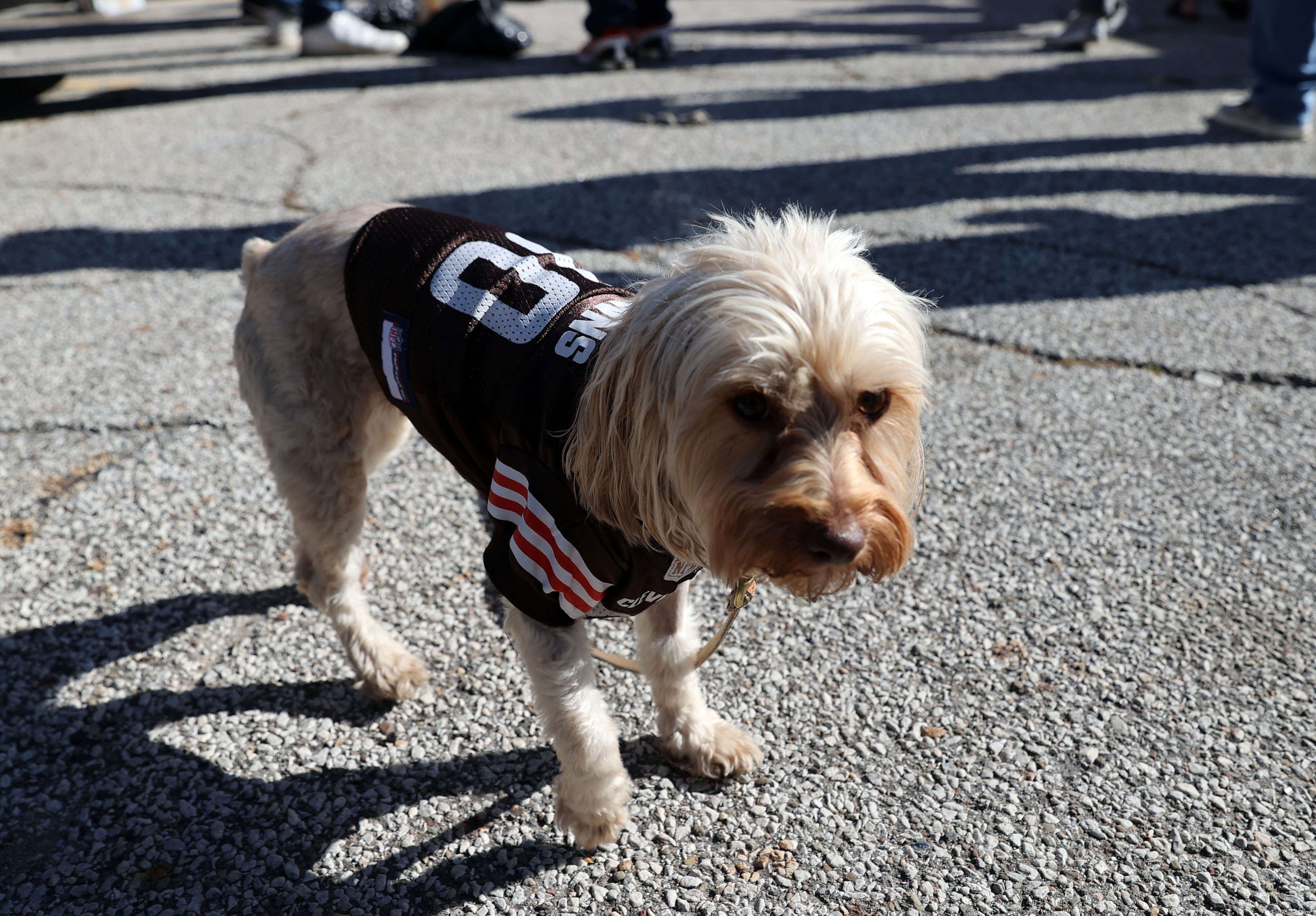 Cleveland Browns fans tailgate in the Muni Lot before the game, September  26, 2021 