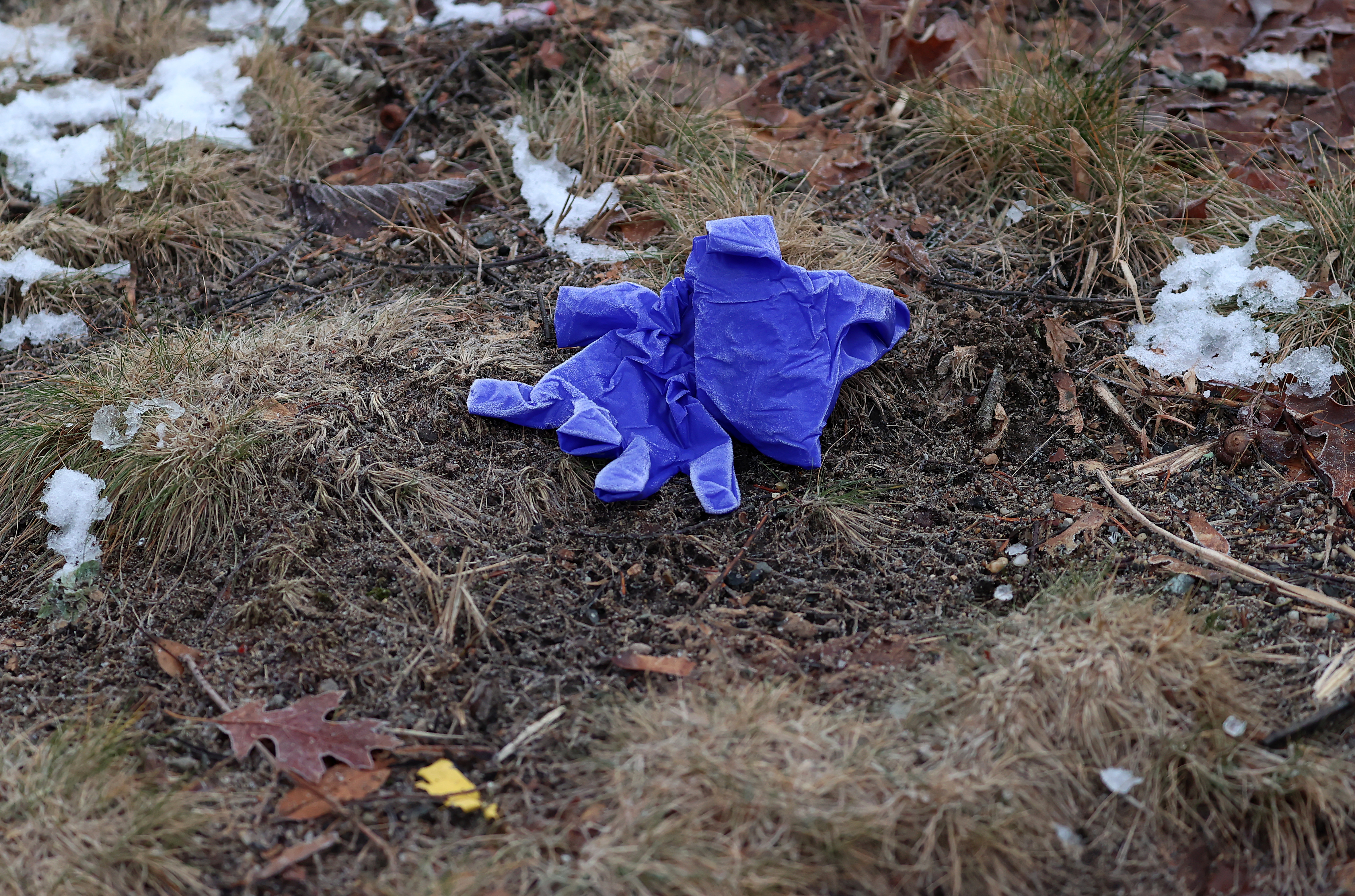 The bodies of the two deceased children were discovered in the house by the Police, as reported by a man who called the fire and police to the residence. It was reported that a woman who had attempted to kill herself was called to the home by the man. EMTs discarded gloves on Summer Street, Duxbury, MA, on January 25.