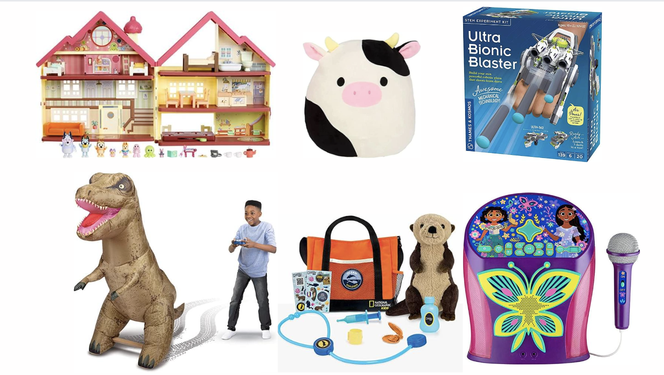 10 toys kids want on Christmas according to toy experts: Bluey