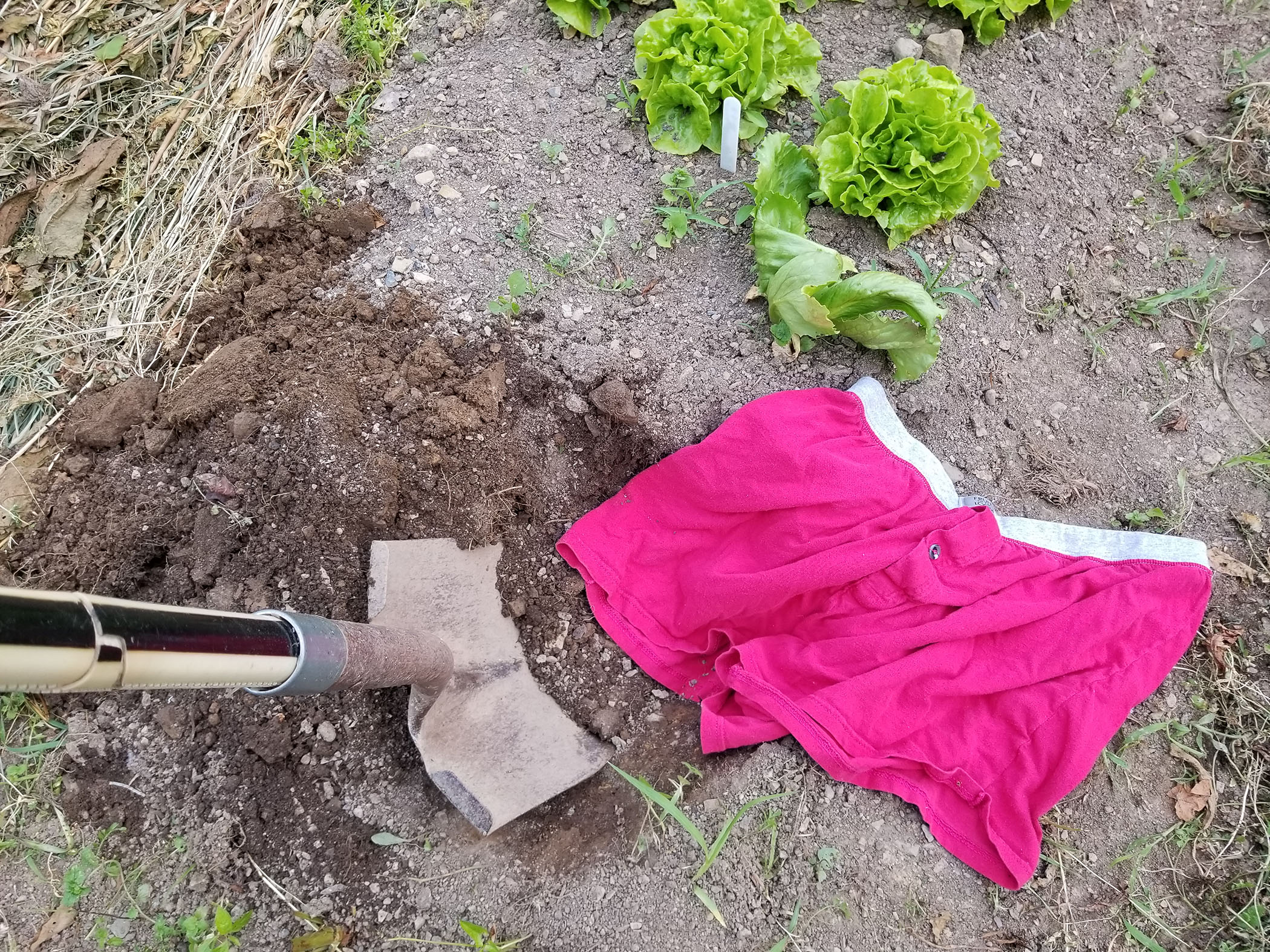 Soil Your Undies Challenge - Pasa Sustainable Agriculture