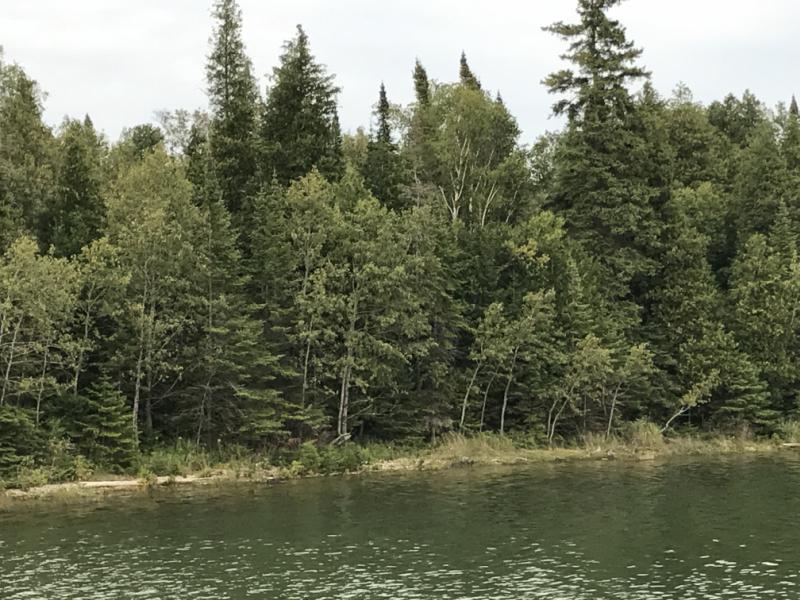 Butterfield Island, Michigan