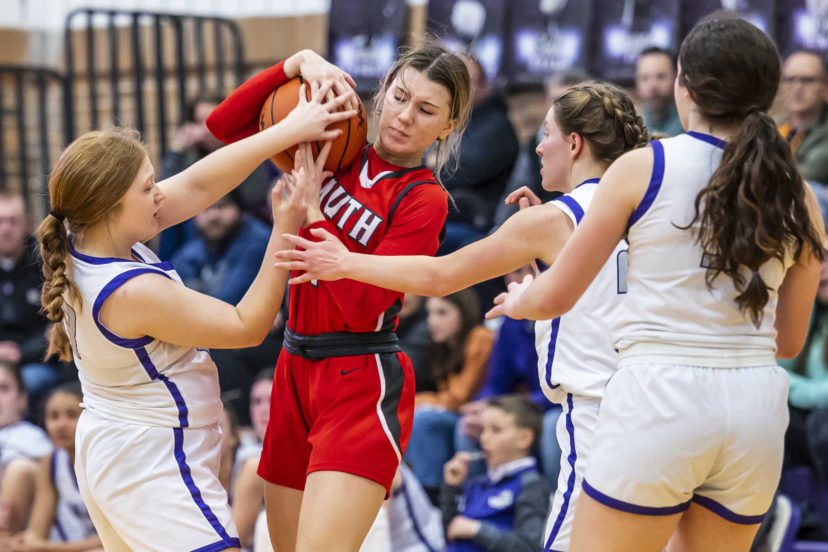 Swan Valley girls basketball hosts Frankenmuth in district final game ...