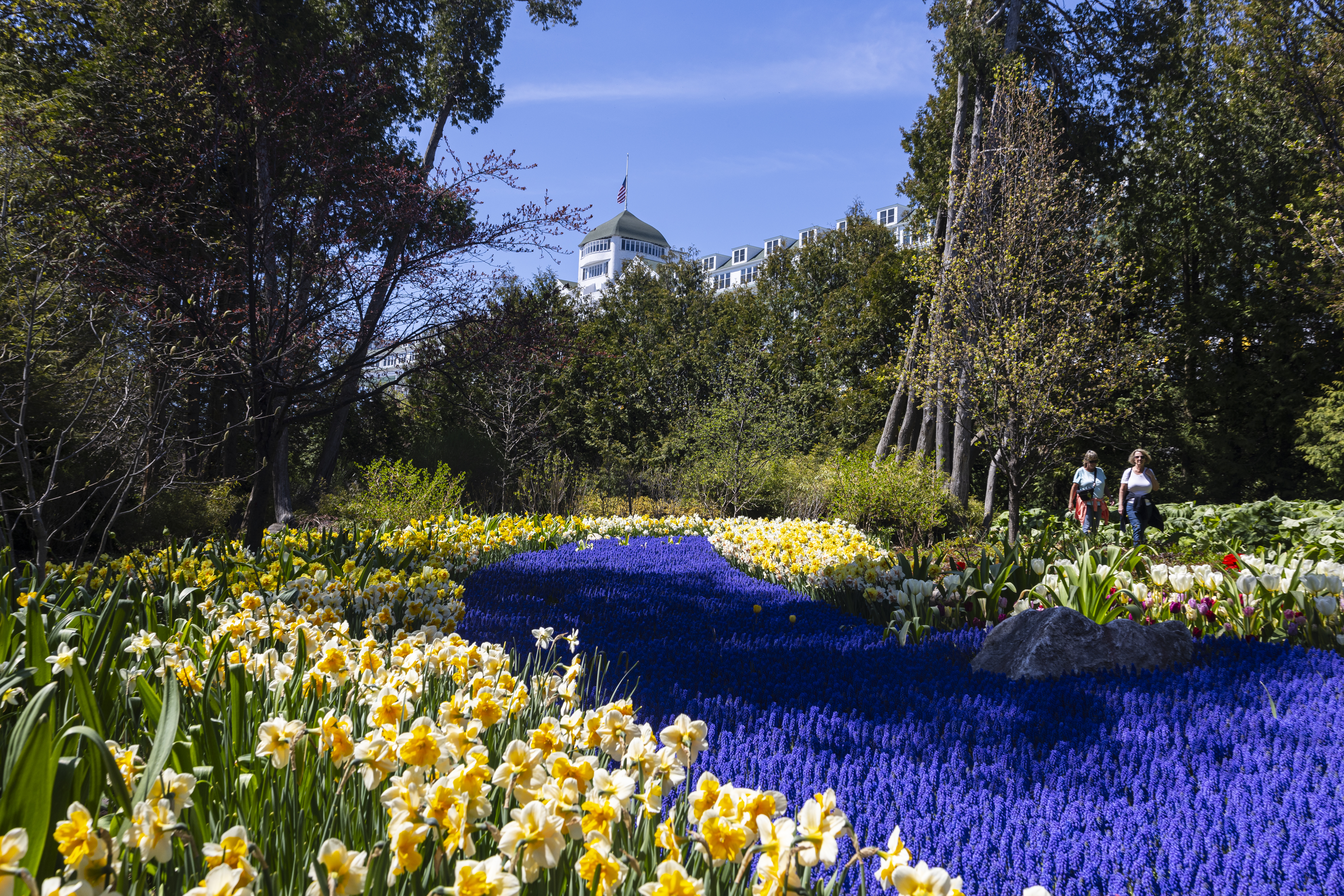 M.SUZUKI スズキ　MAGIC GARDEN マジックガーデン M.SUZUKI スズキ MAGIC GARDEN マジックガーデン