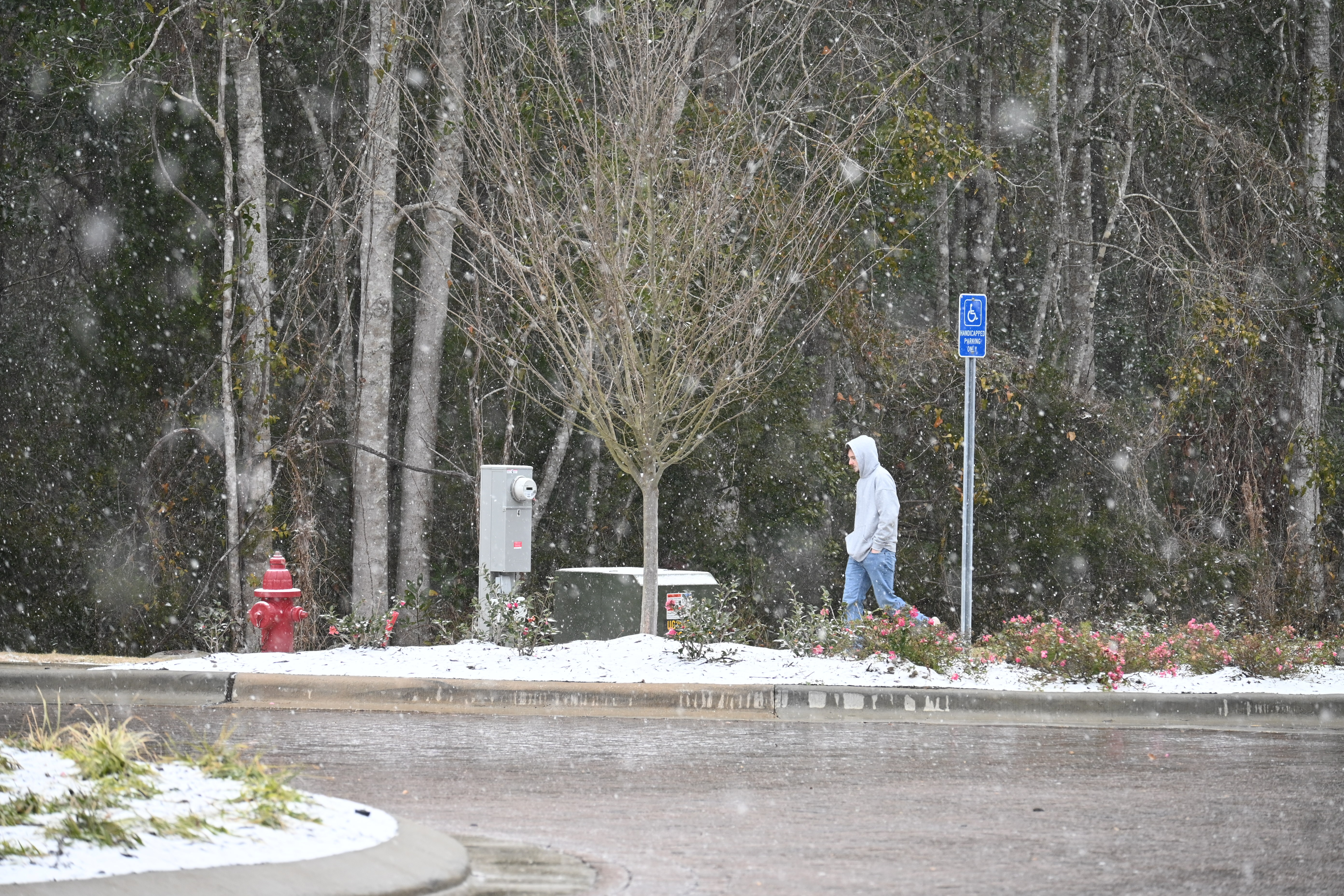 Rare south Alabama snow Jan. 21, 2025 - al.com