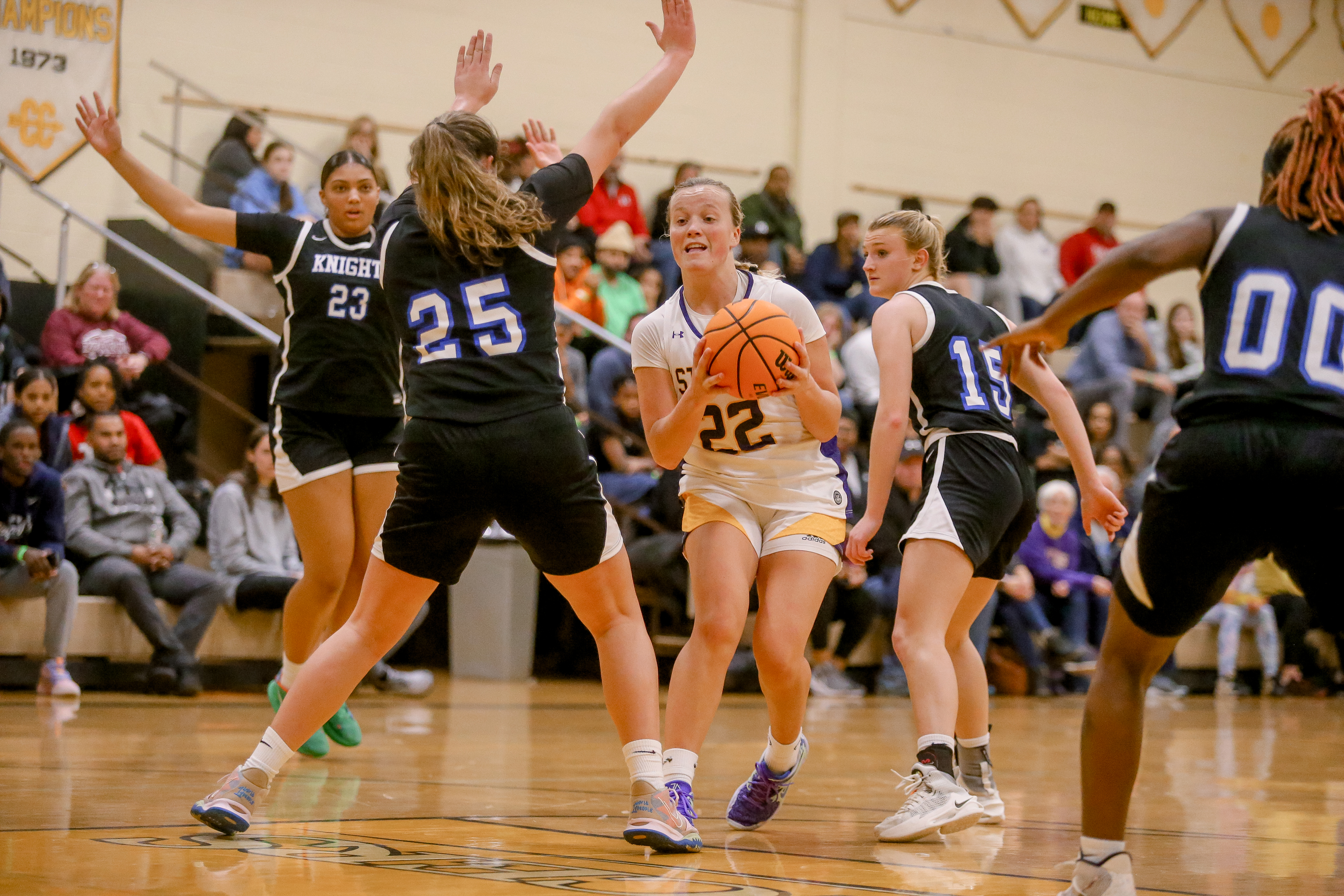 Girls basketball preseason Top 20: New season brings new questions