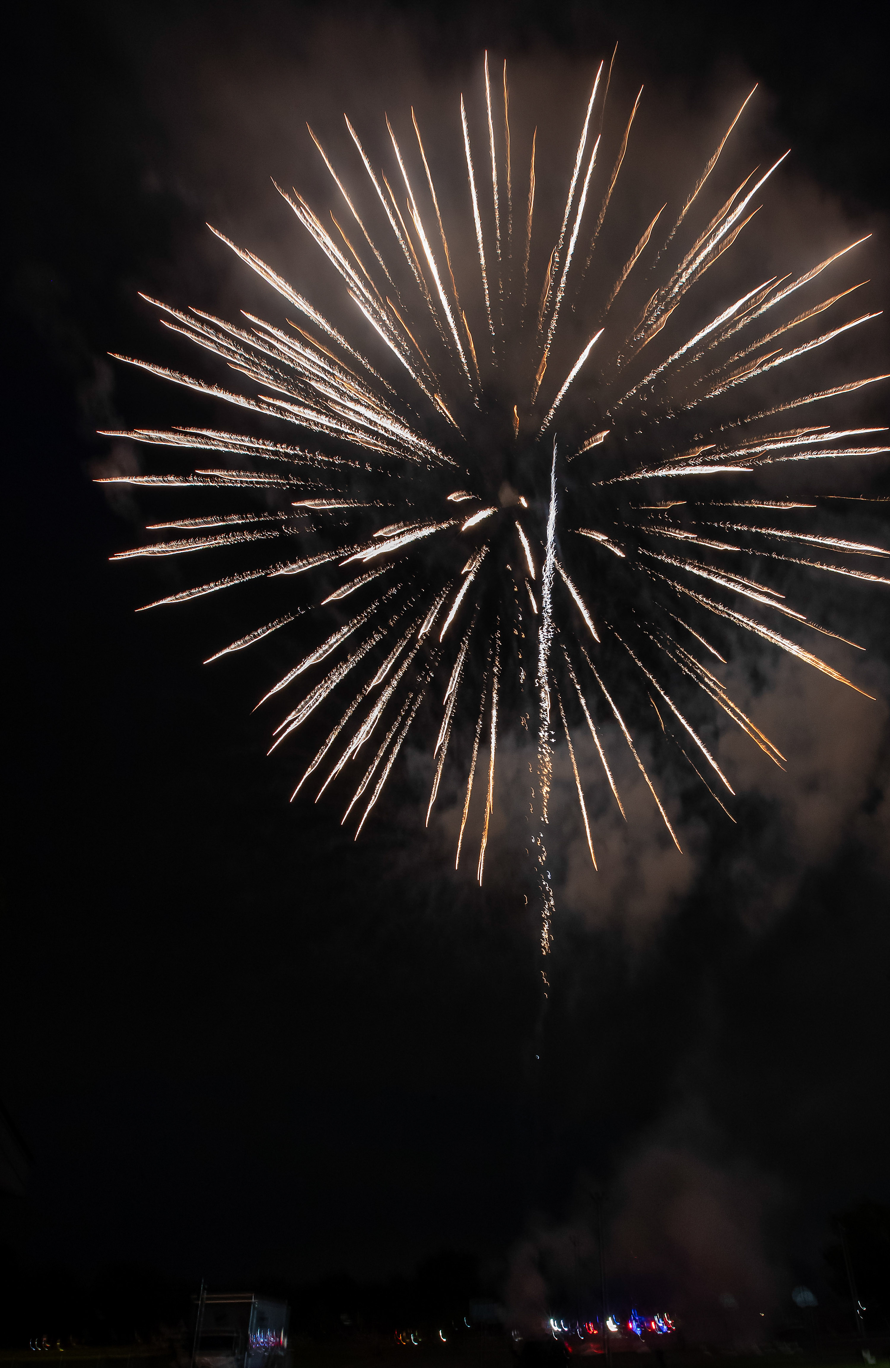 Fireworks and Food Trucks at Koons Park