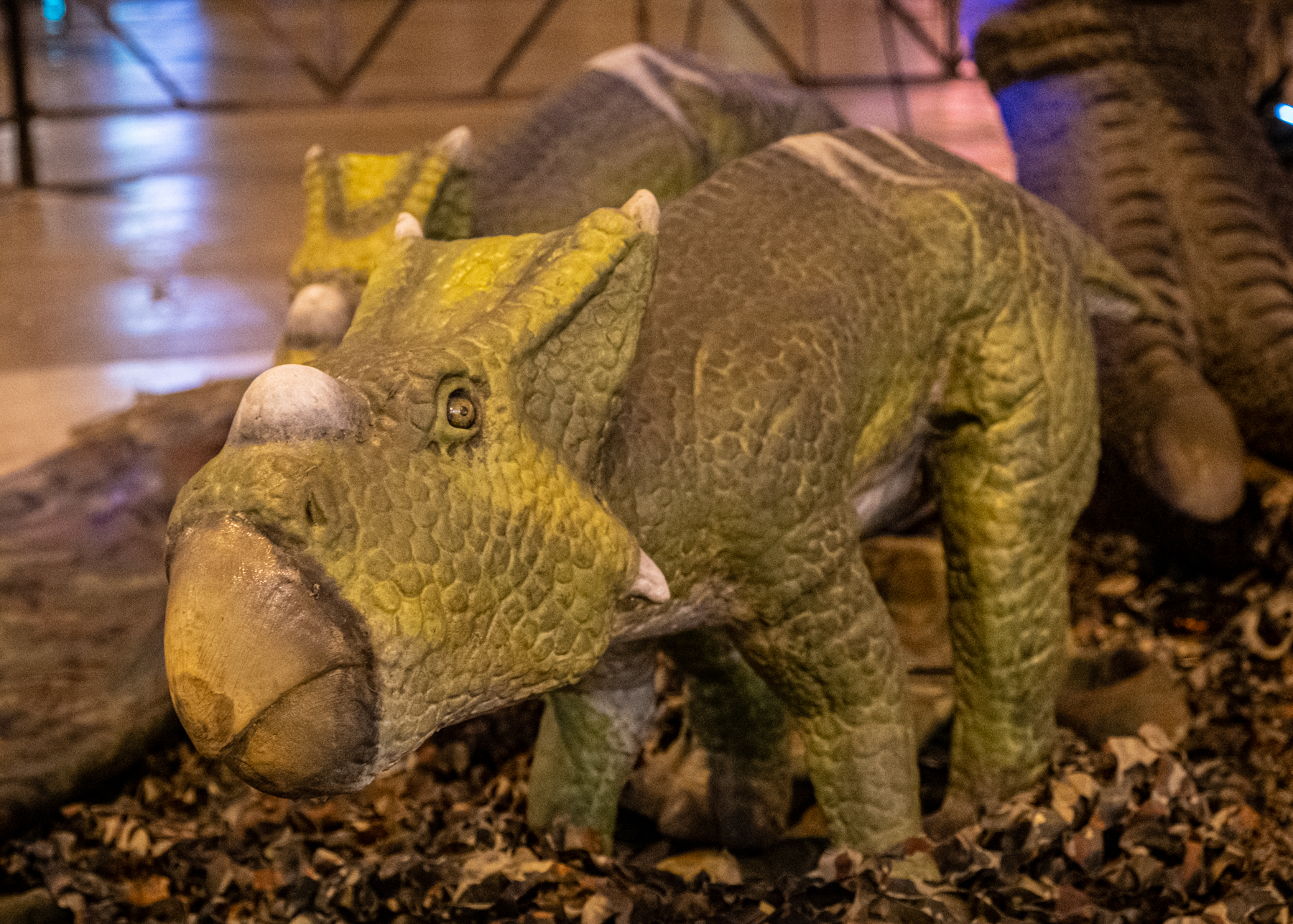 Jurassic Quest - cleveland.com