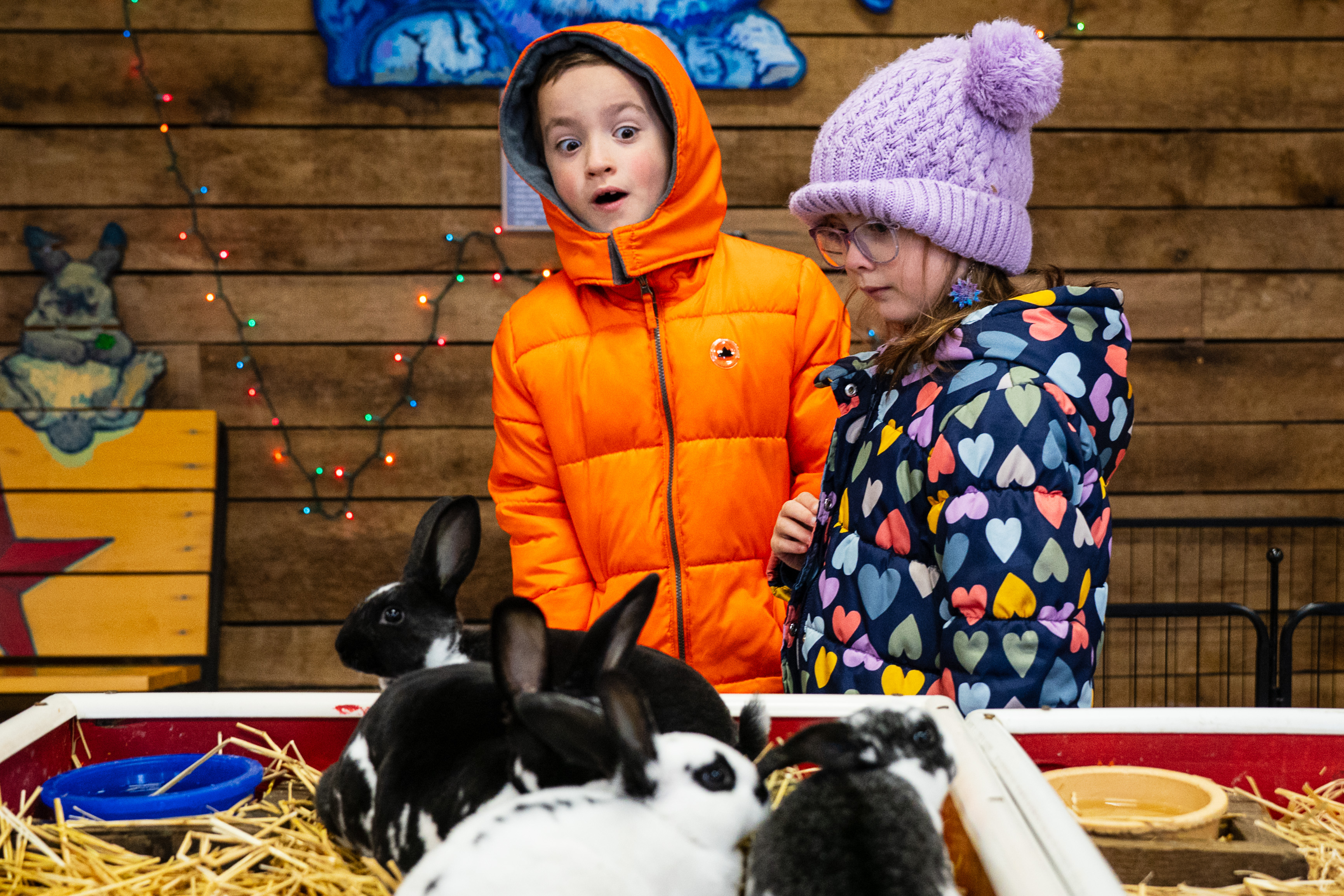 West Michigan’s Critter Barn combines ag education and the Bible for an ...