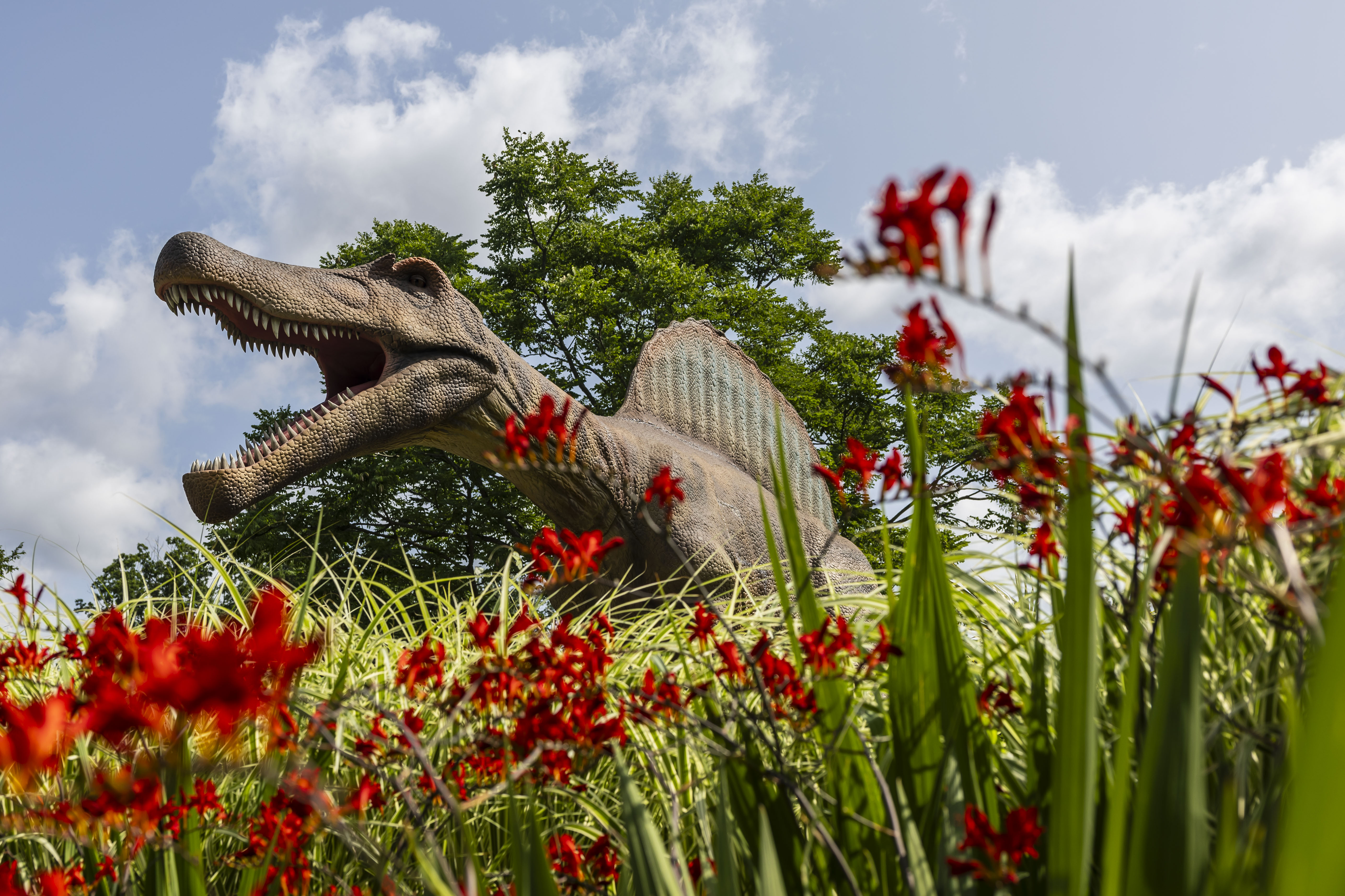Dinosaurs Around the World at Dow Gardens - mlive.com