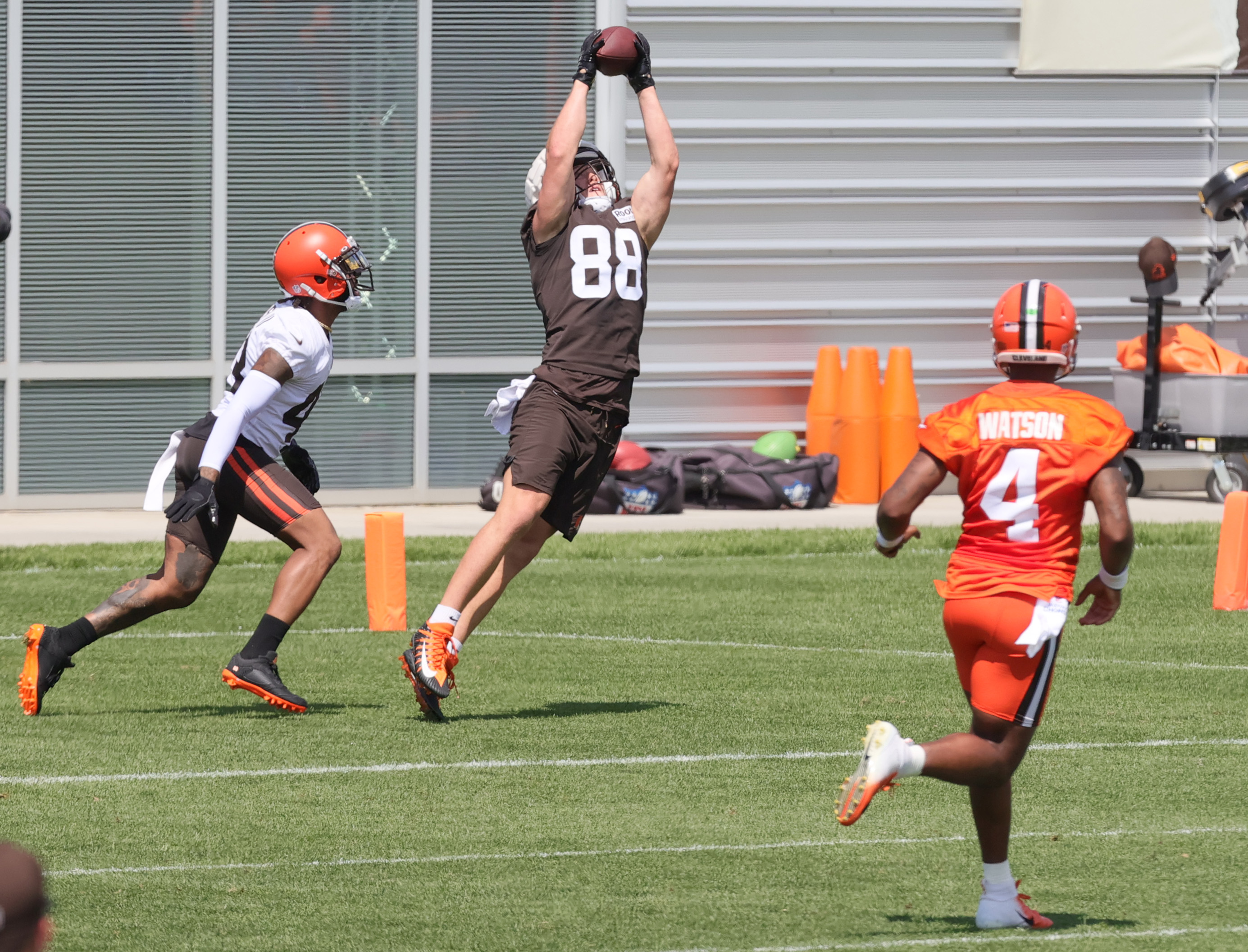 What is the biggest storyline about Browns' move with Cade York? – Terry  Pluto Scribbles