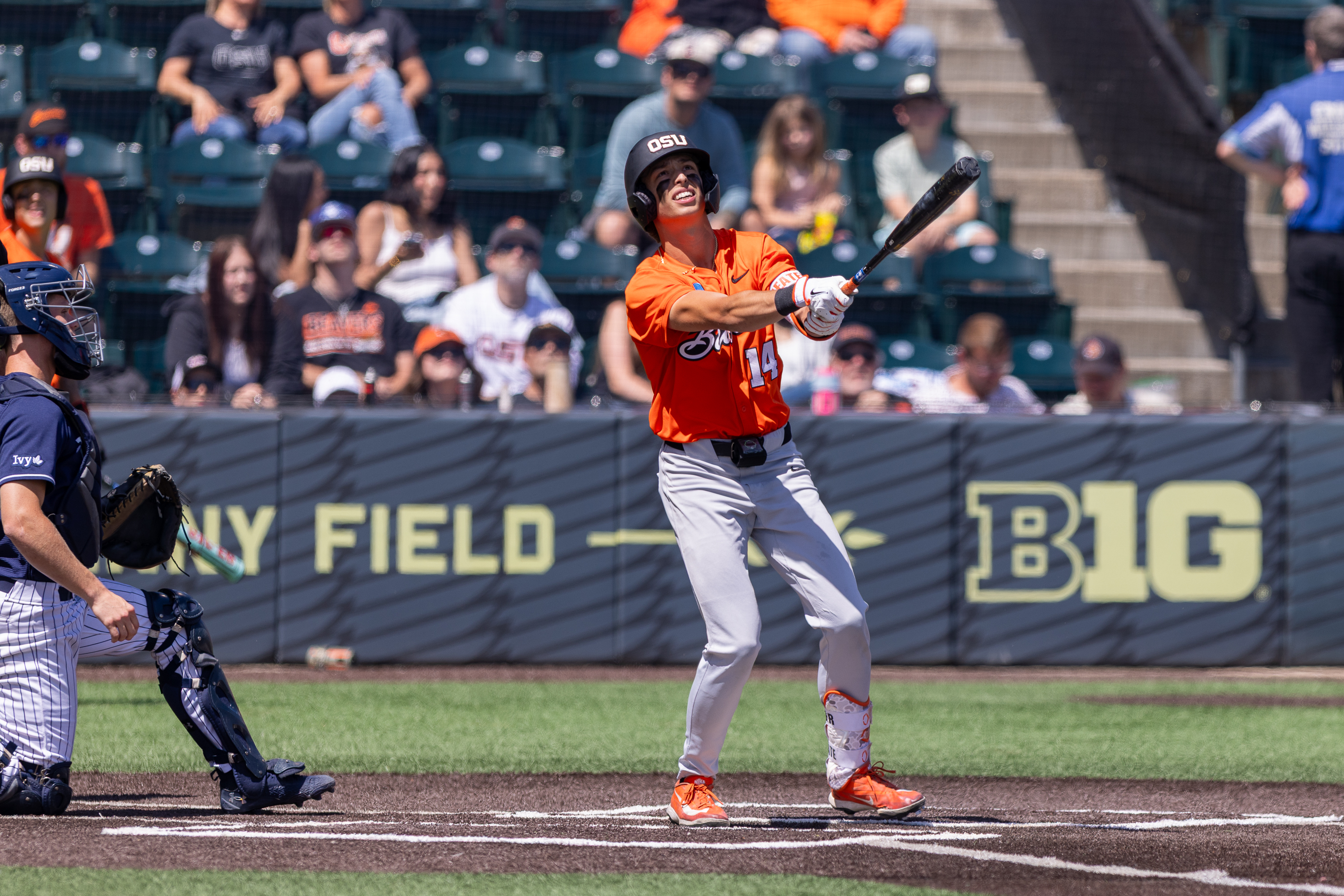 oregon state baseball - oregonlive.com
