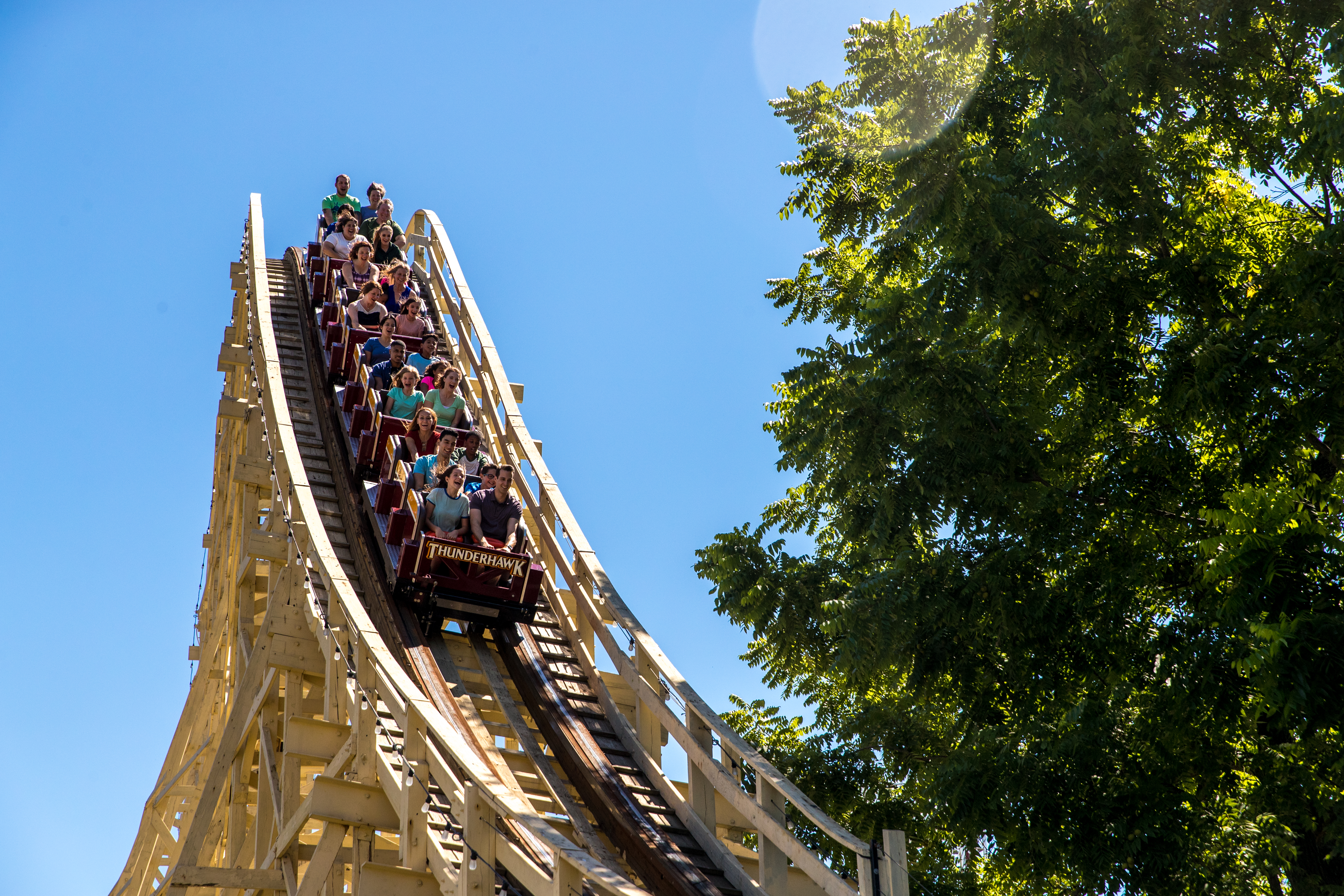 The Fastest Roller Coasters At Busch Gardens, Ranked