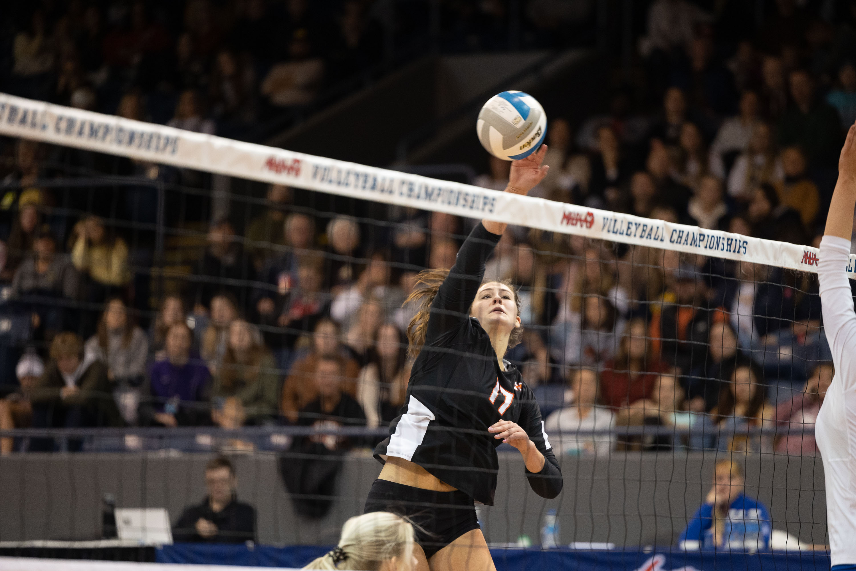 Bloomfield Hills Marian takes on Northville for Division 1 volleyball state finals