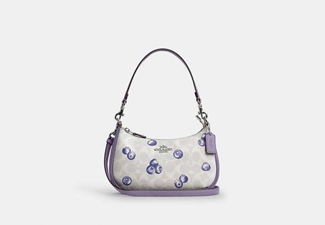 Discover the Coach Outlet Fruit Collection: A Splash of Style and Color