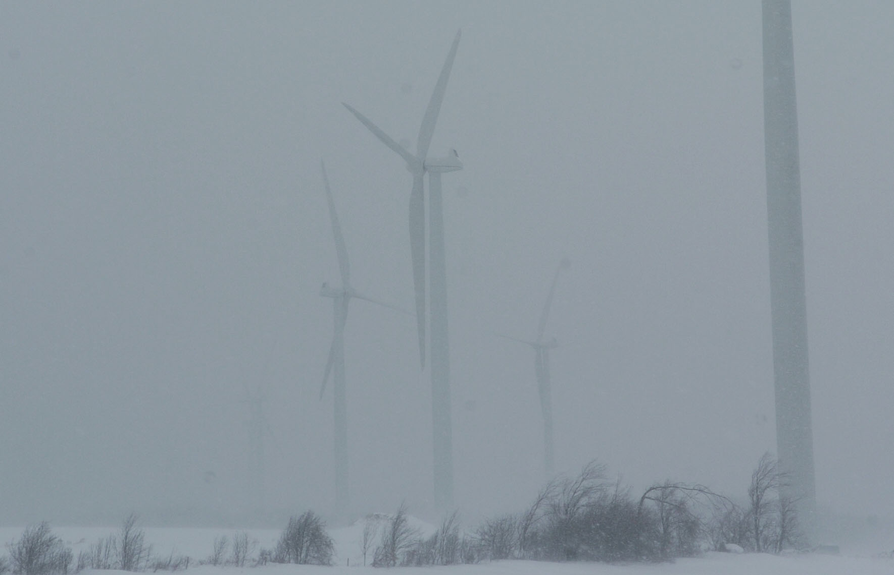 Maple Ridge wind farm