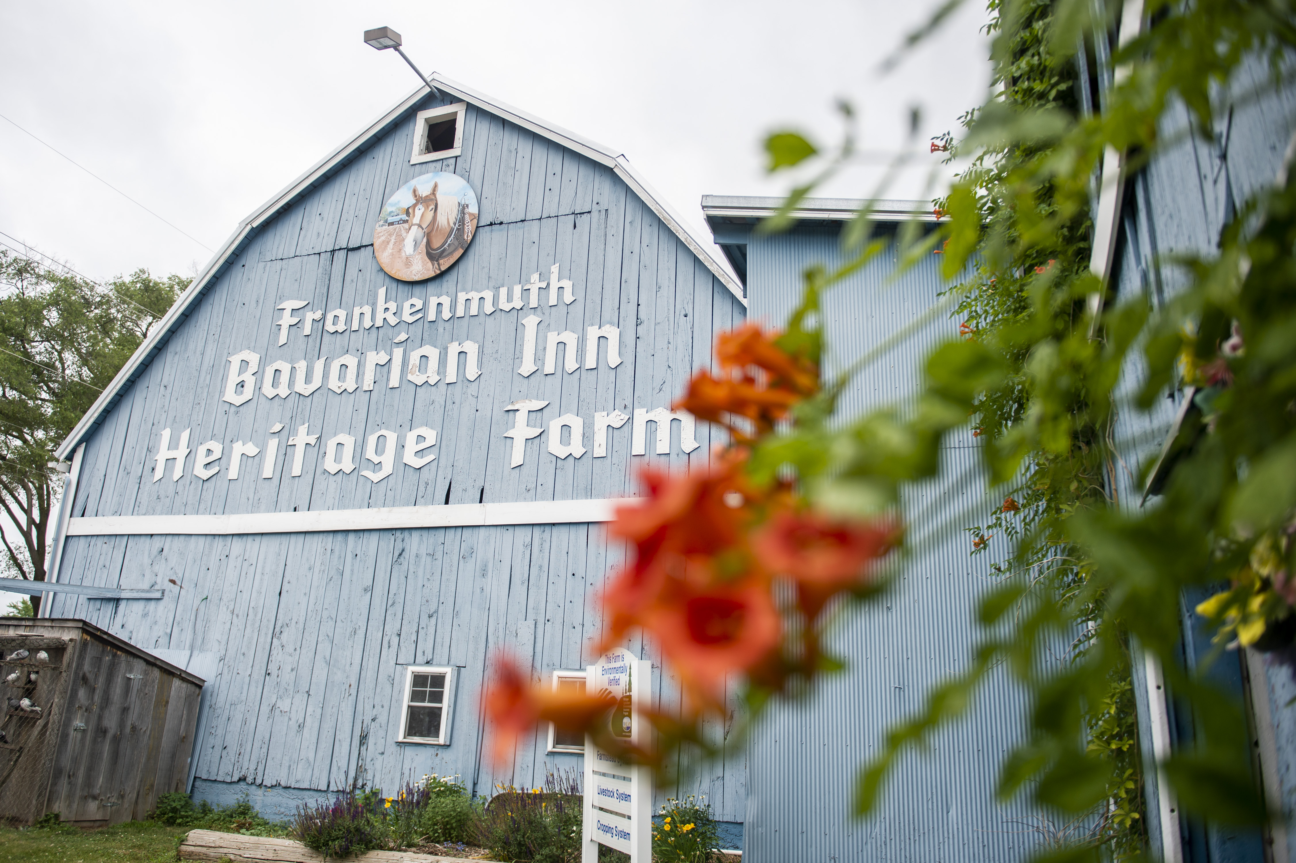 Frankenmuth Flower Festival