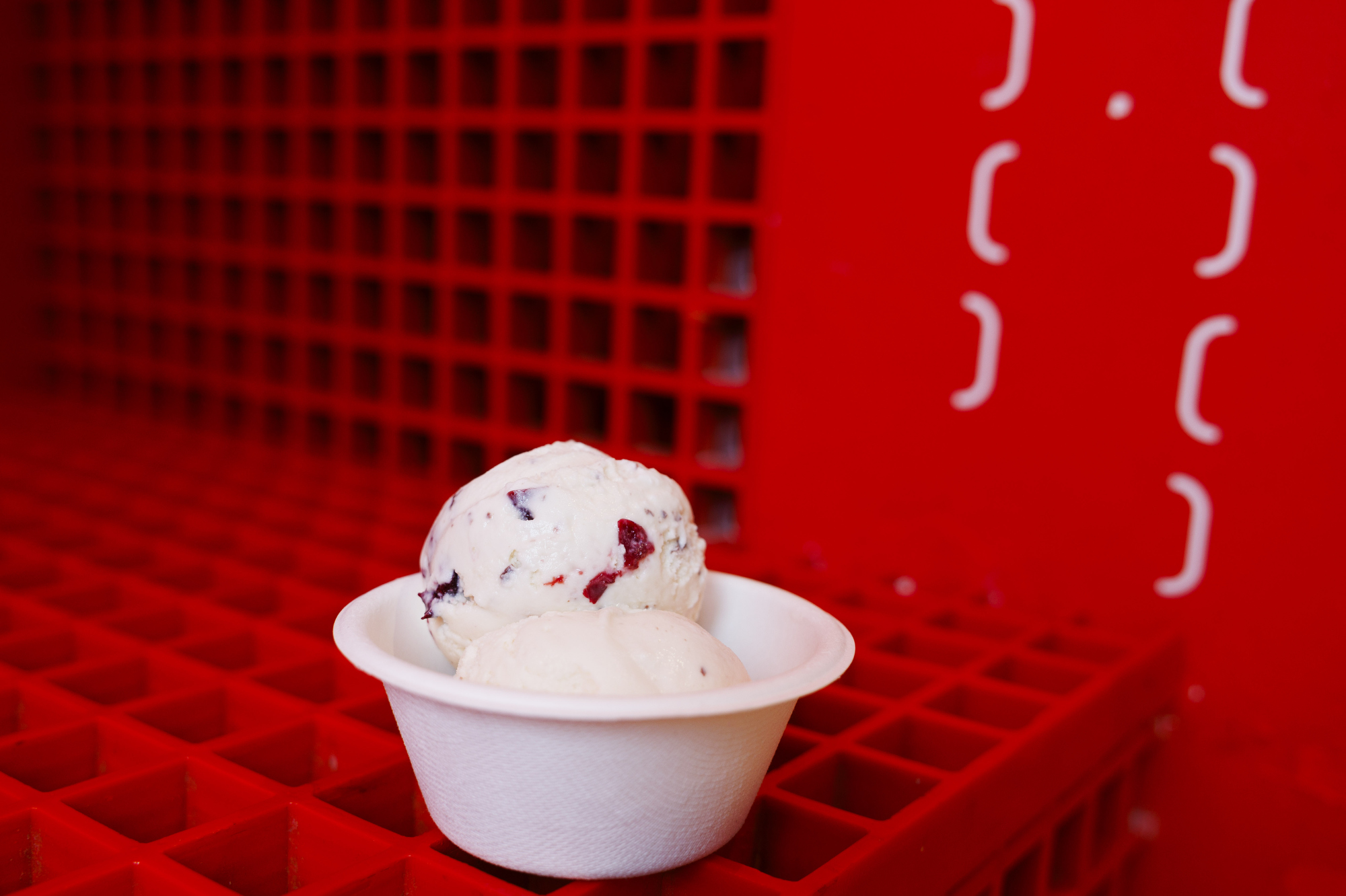 Local Eats Milk & Froth Ice Cream