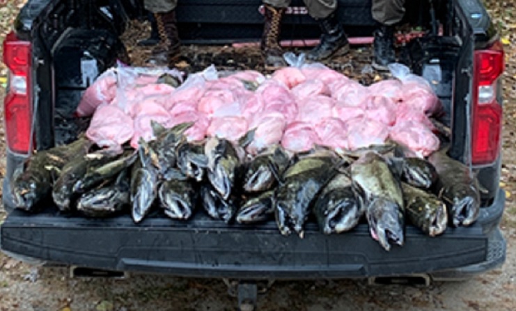 6 Colorado men fined $6,600 for poaching 460 pounds of salmon in Northern  Michigan 