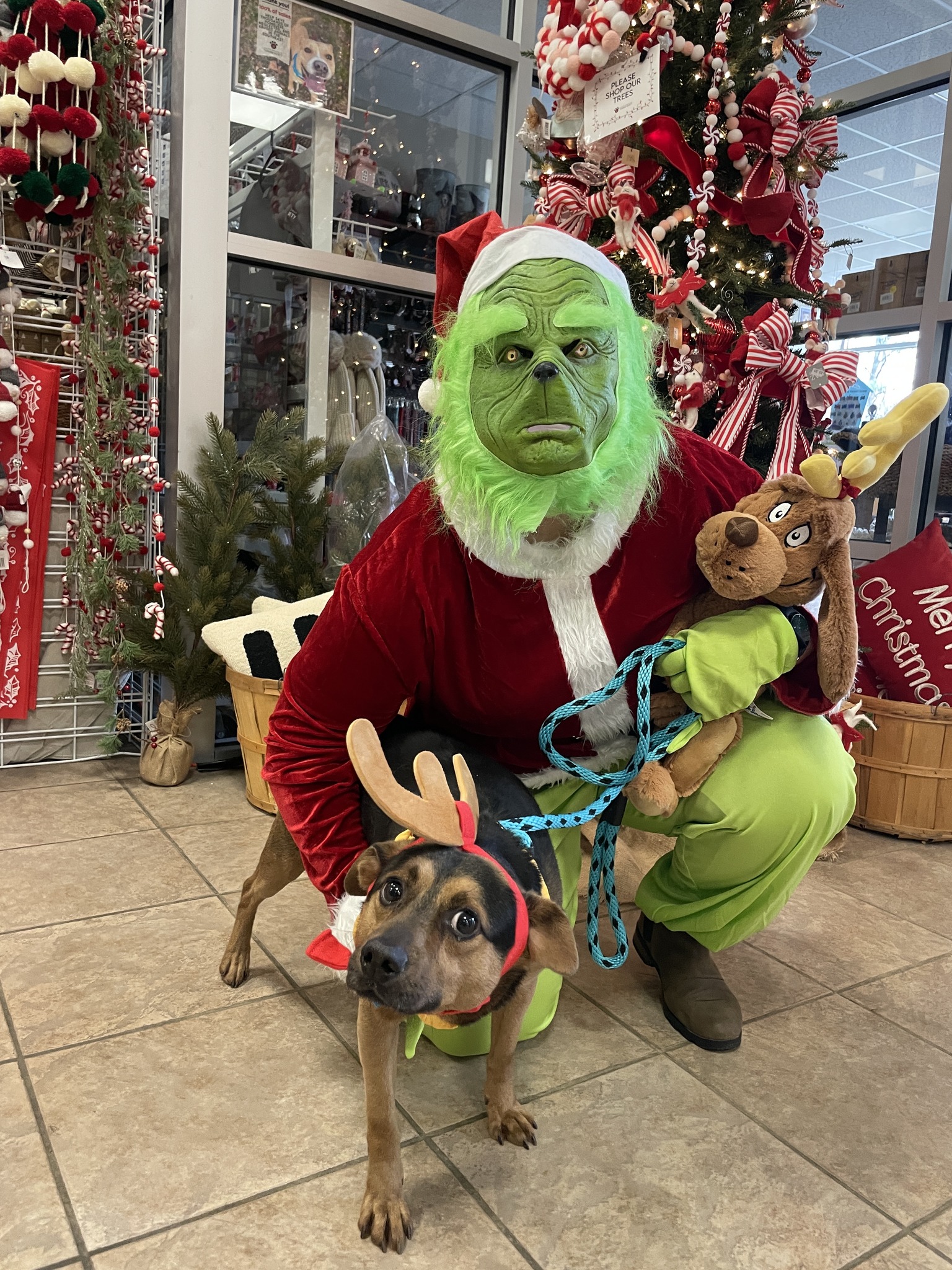 The Grinch spotted scooping up recycling in Chilliwack this week