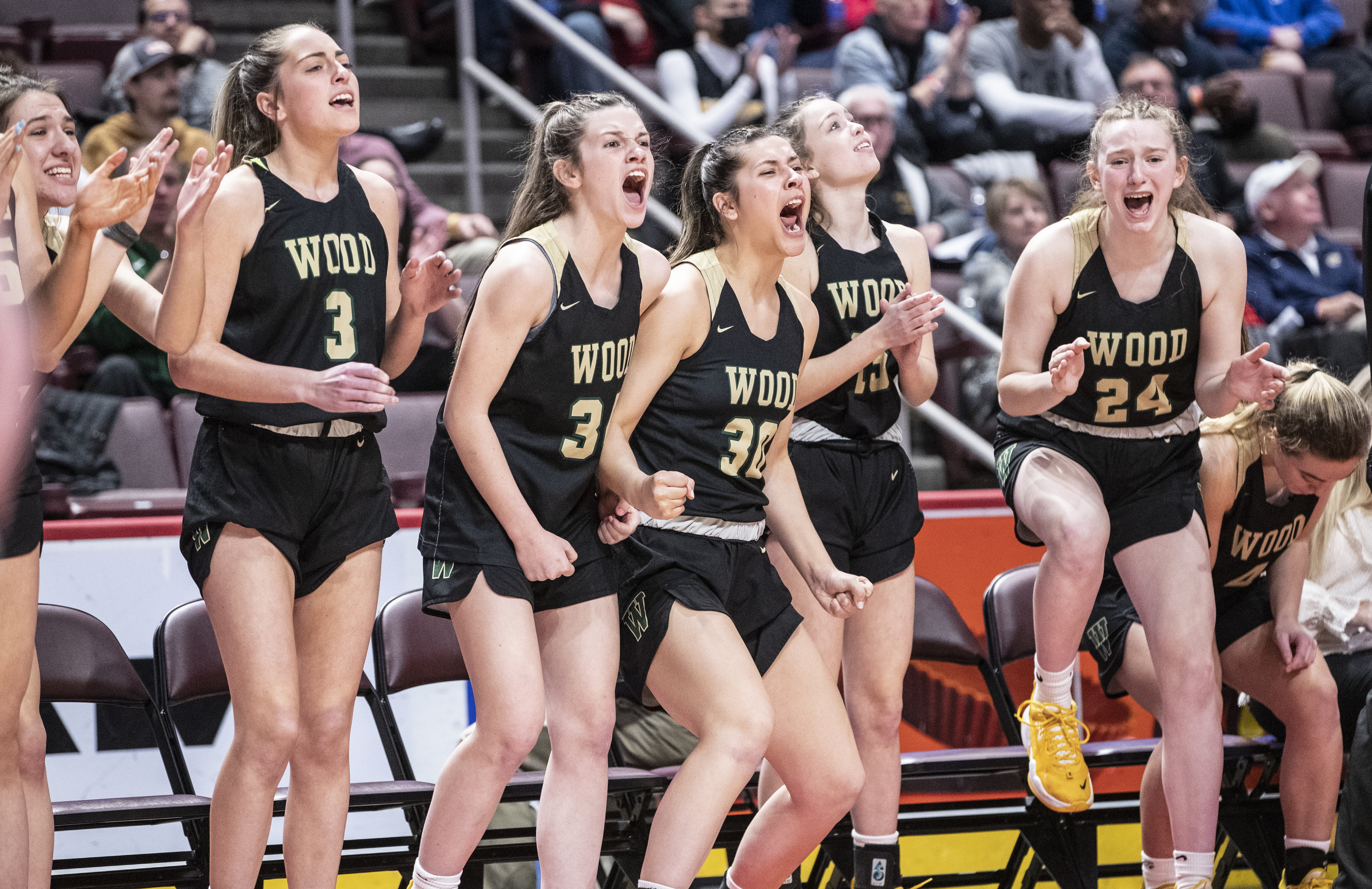 PIAA 4A Girls Basketball Championship Archbishop Wood vs. Lansdale ...