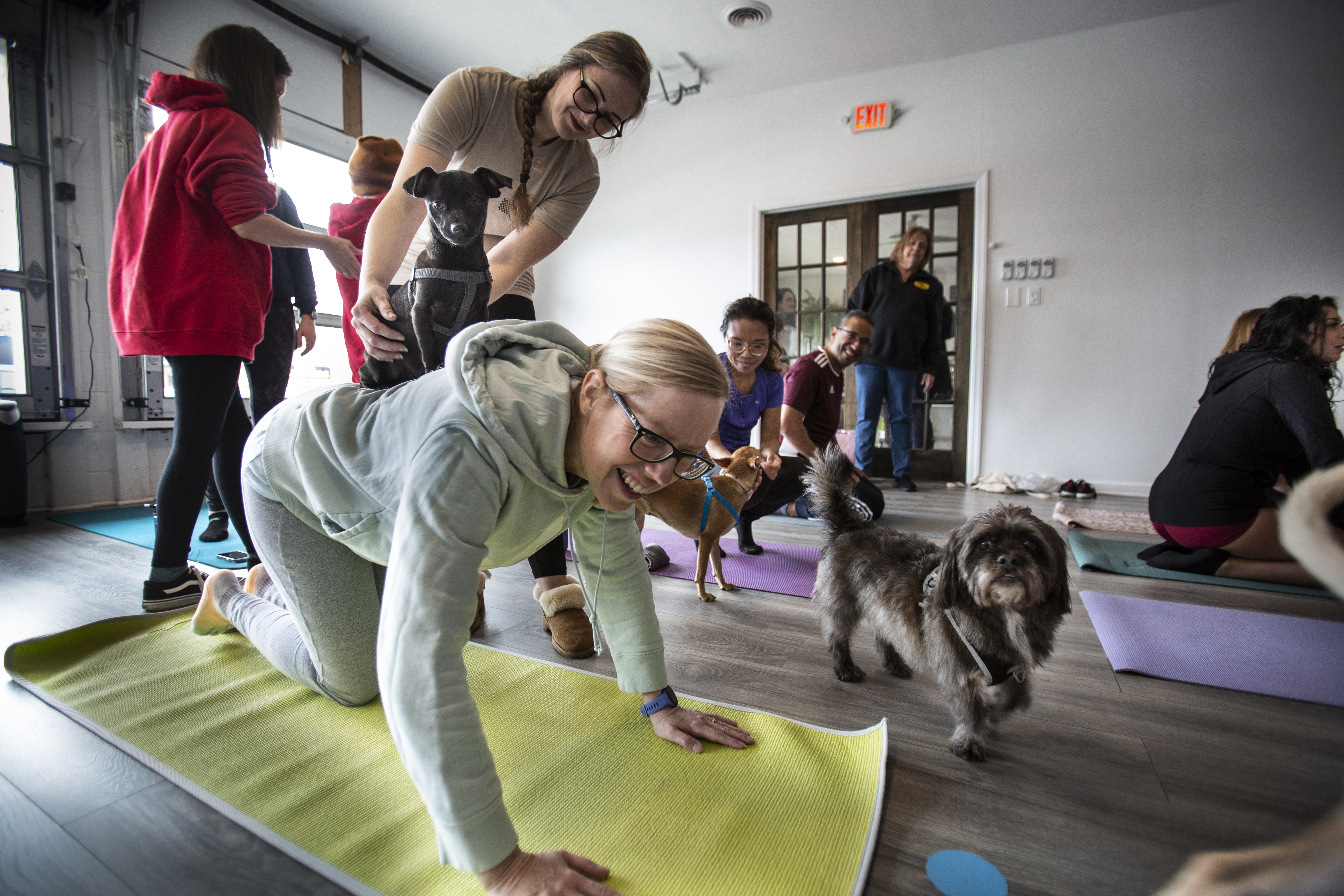 Doggy noses and yoga poses: Local event aims to match flexible
