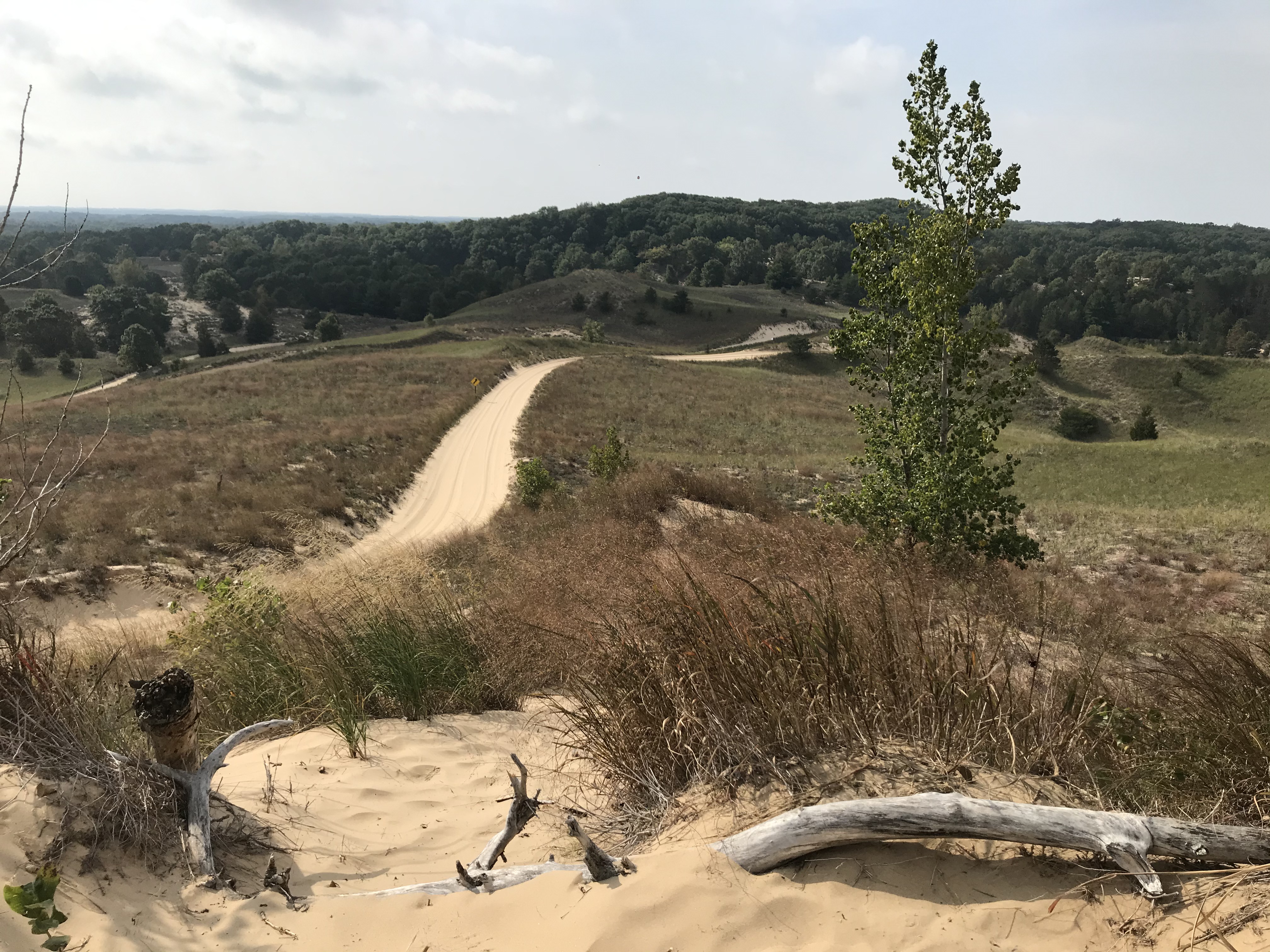 Where To Find 6 Magnificent Michigan Sand Dunes For Your Next Vacation Mlive Com