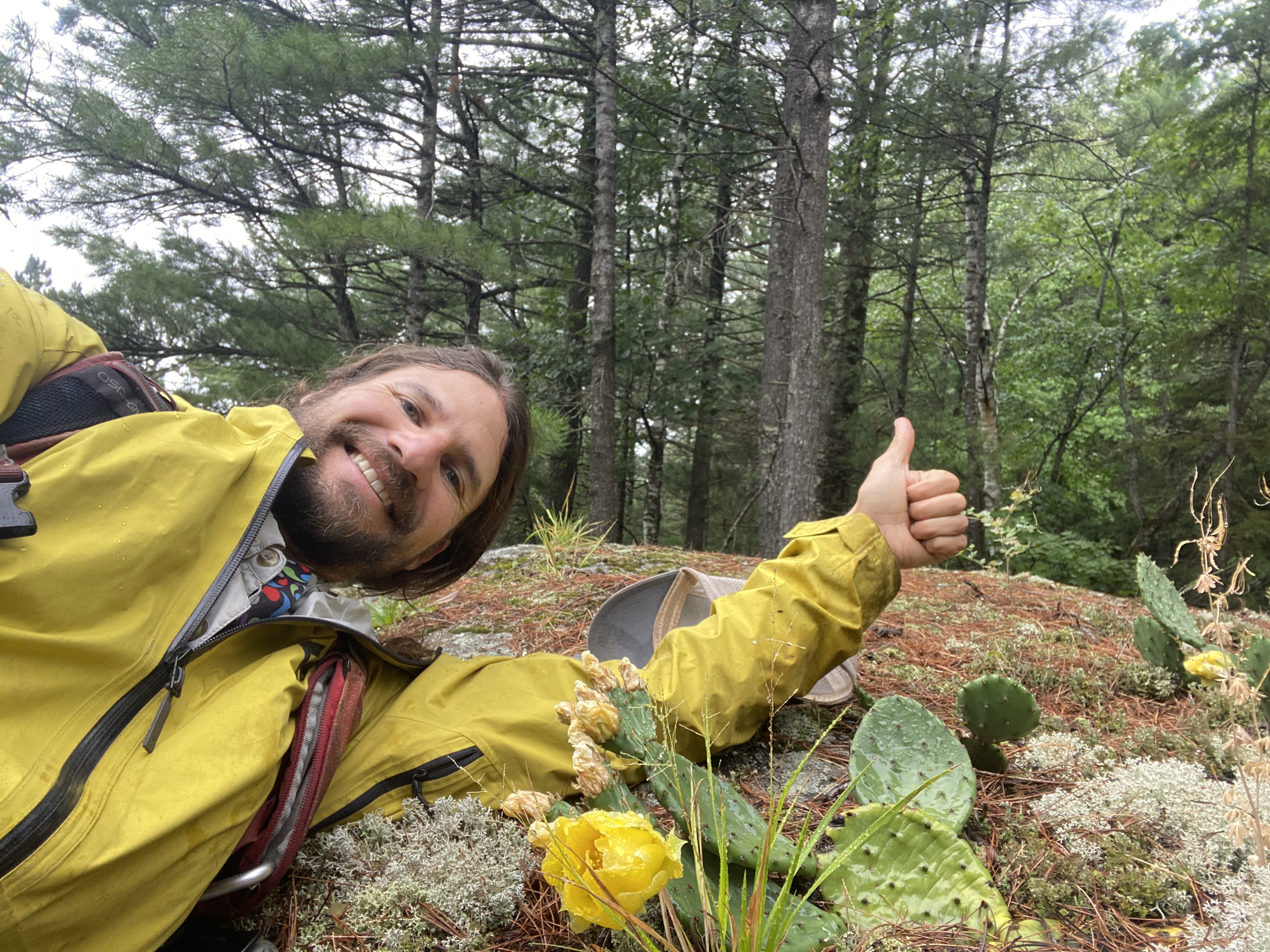 Yooper makes cactus discovery in heights of Michigans Huron Mountains -  mlive.com