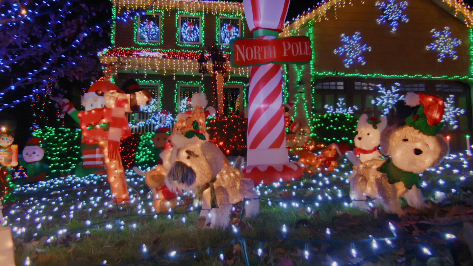 ‘The Great Christmas Light Fight’ How to watch, live stream, TV channel, time