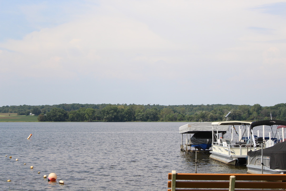 Medina County s Chippewa Lake celebrates two years algae free