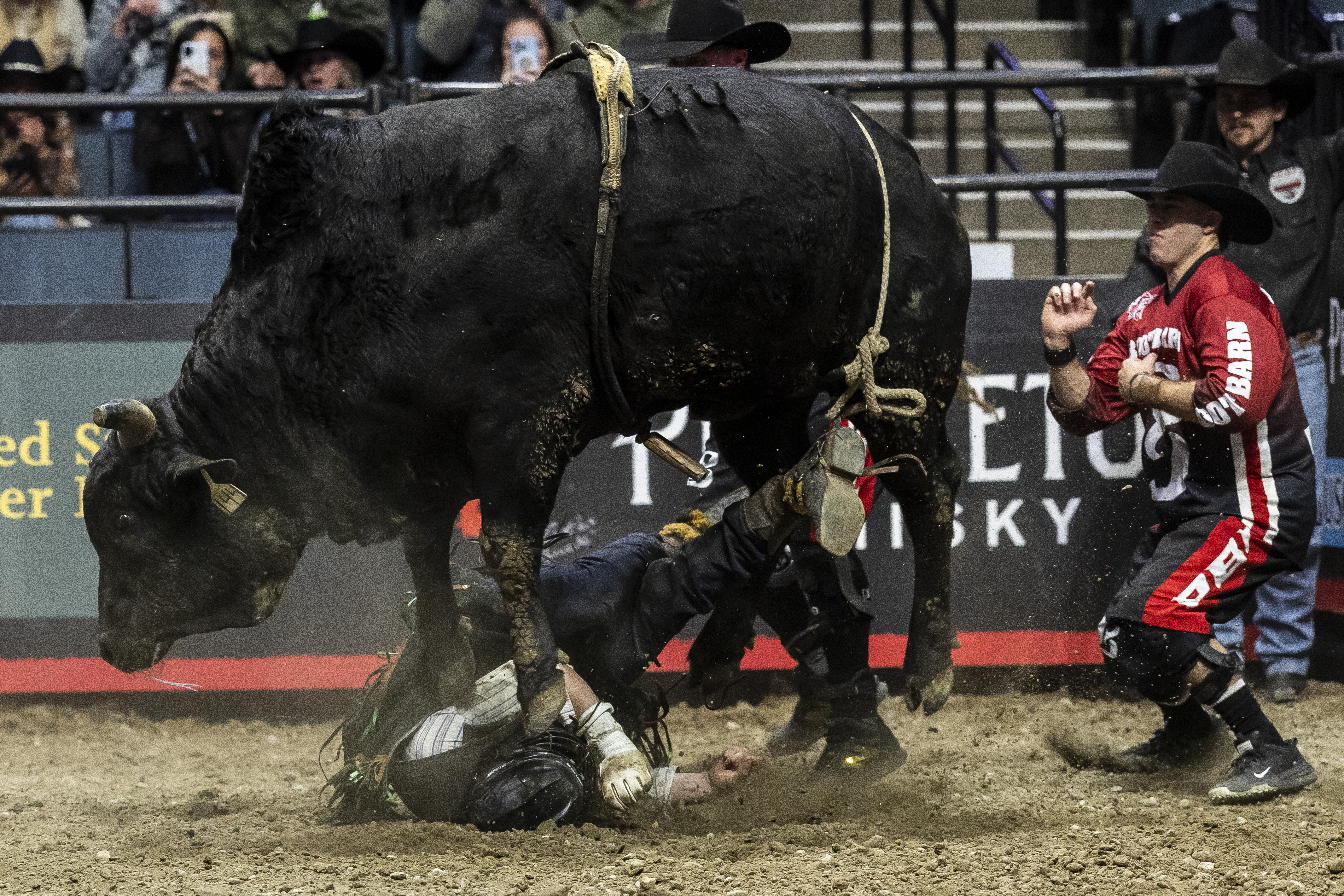 World’s best bull riders compete in Grand Rapids - mlive.com