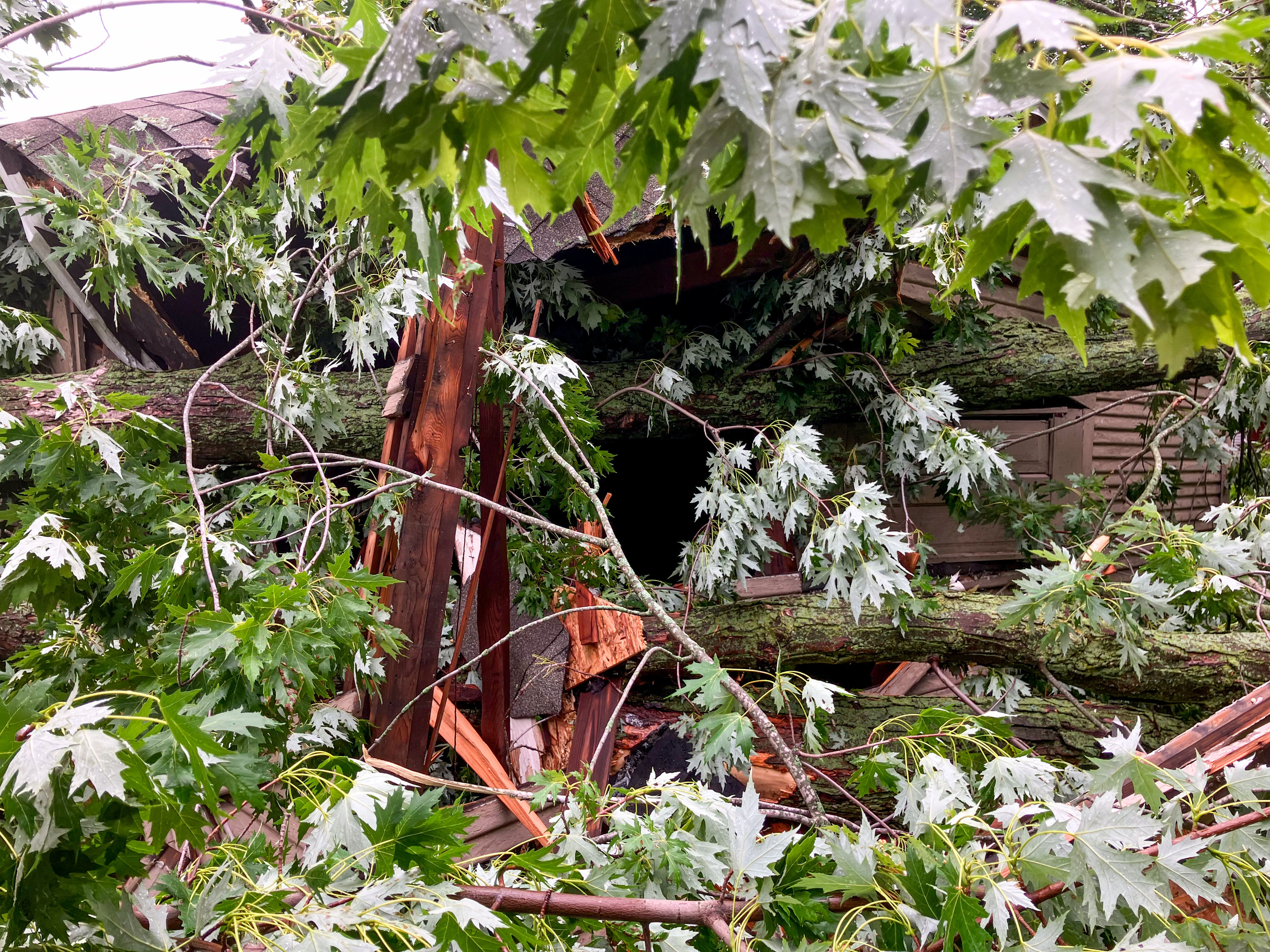 Storm leaves thousands in Muskegon without power, tree damage - mlive.com