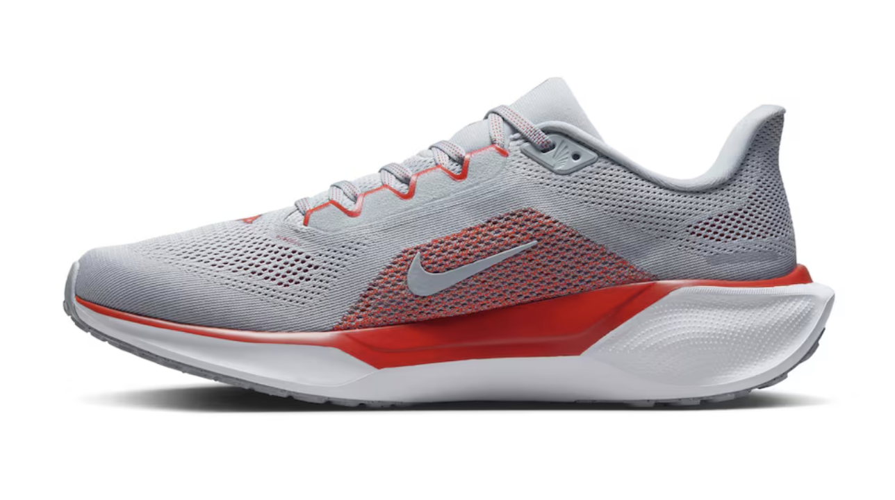 Nike pegasus 29 2017 online