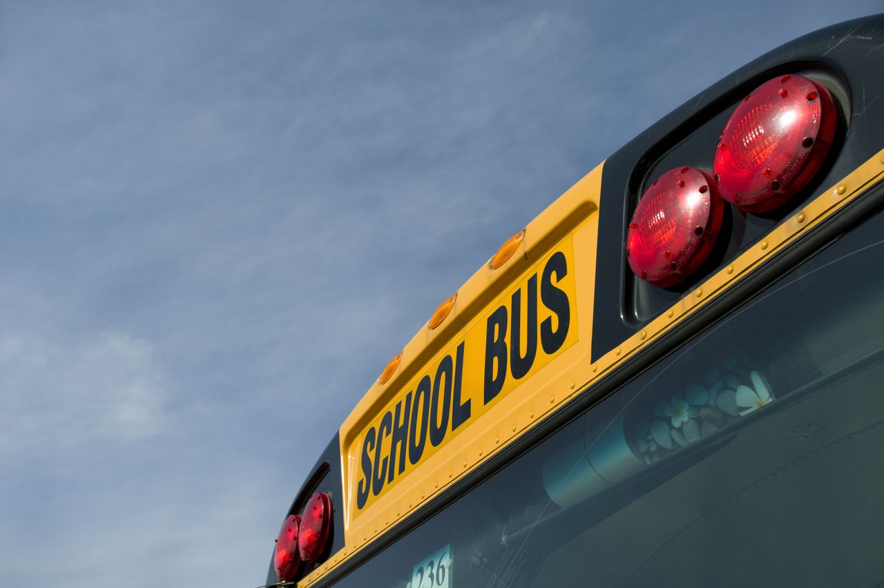 Upstate NY School Bus Driver Drove Drunk With Students Onboard, Stopped ...