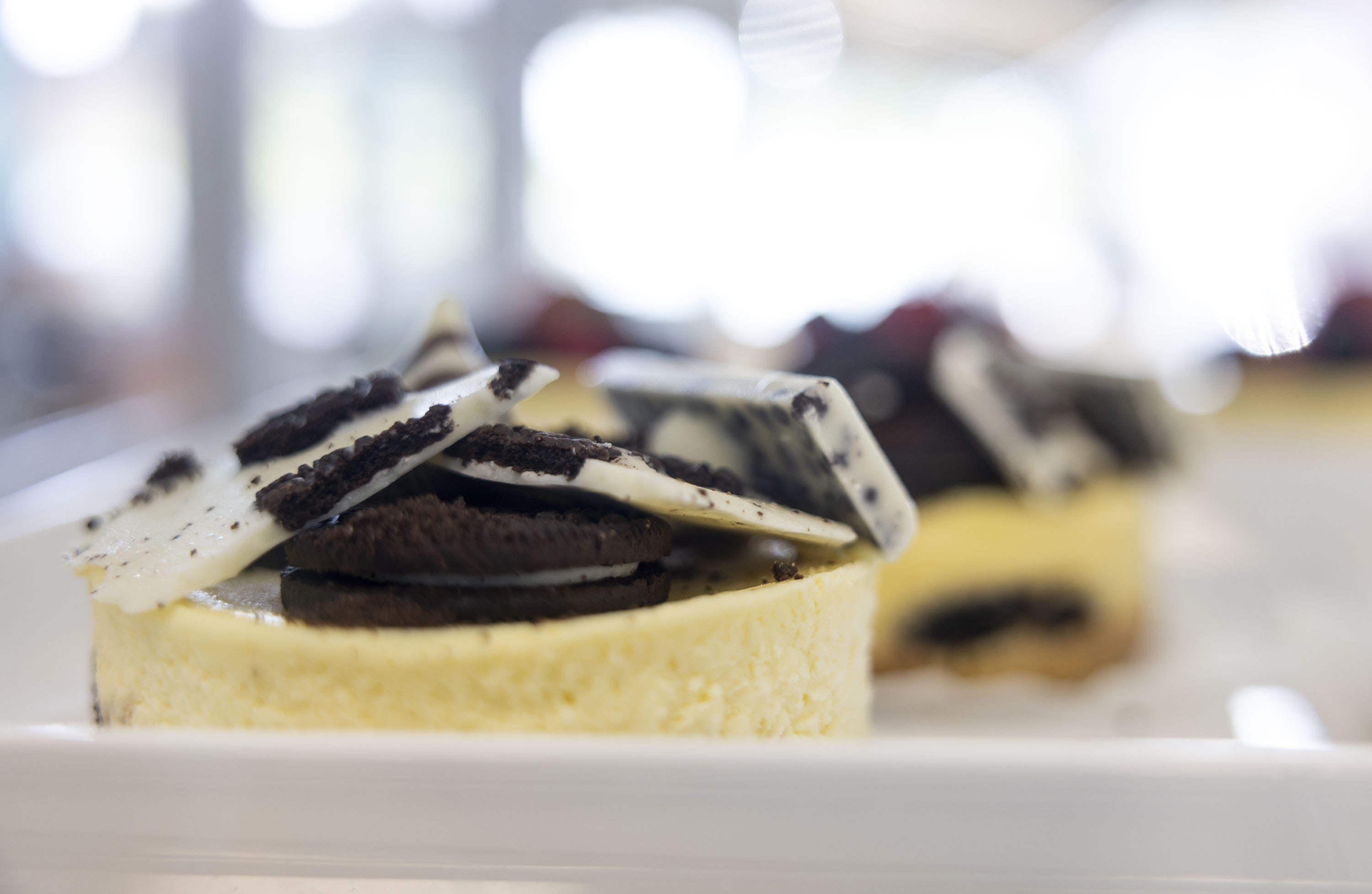 Candy Coated Creamery opens