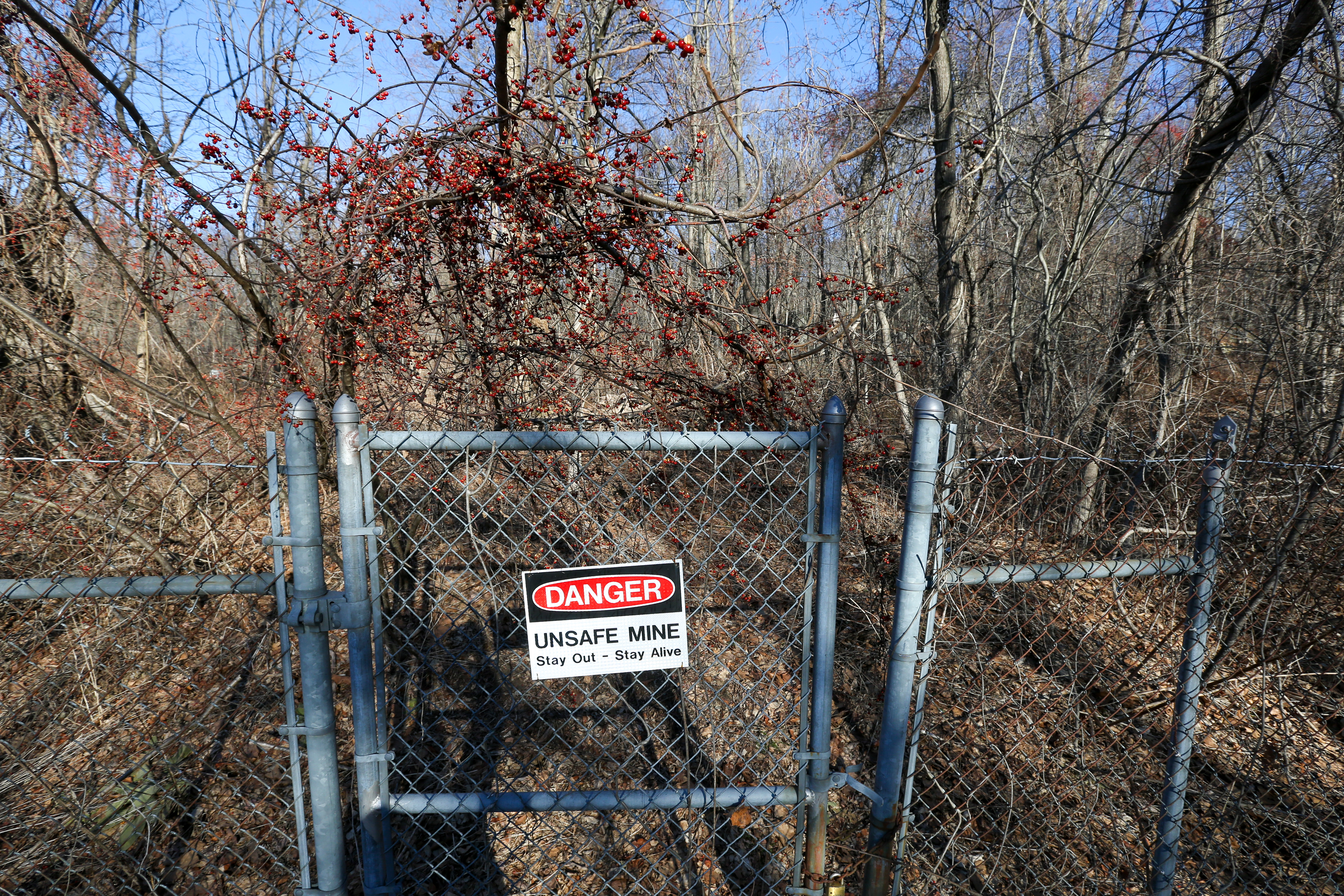 mine NJZ Photo Gallery