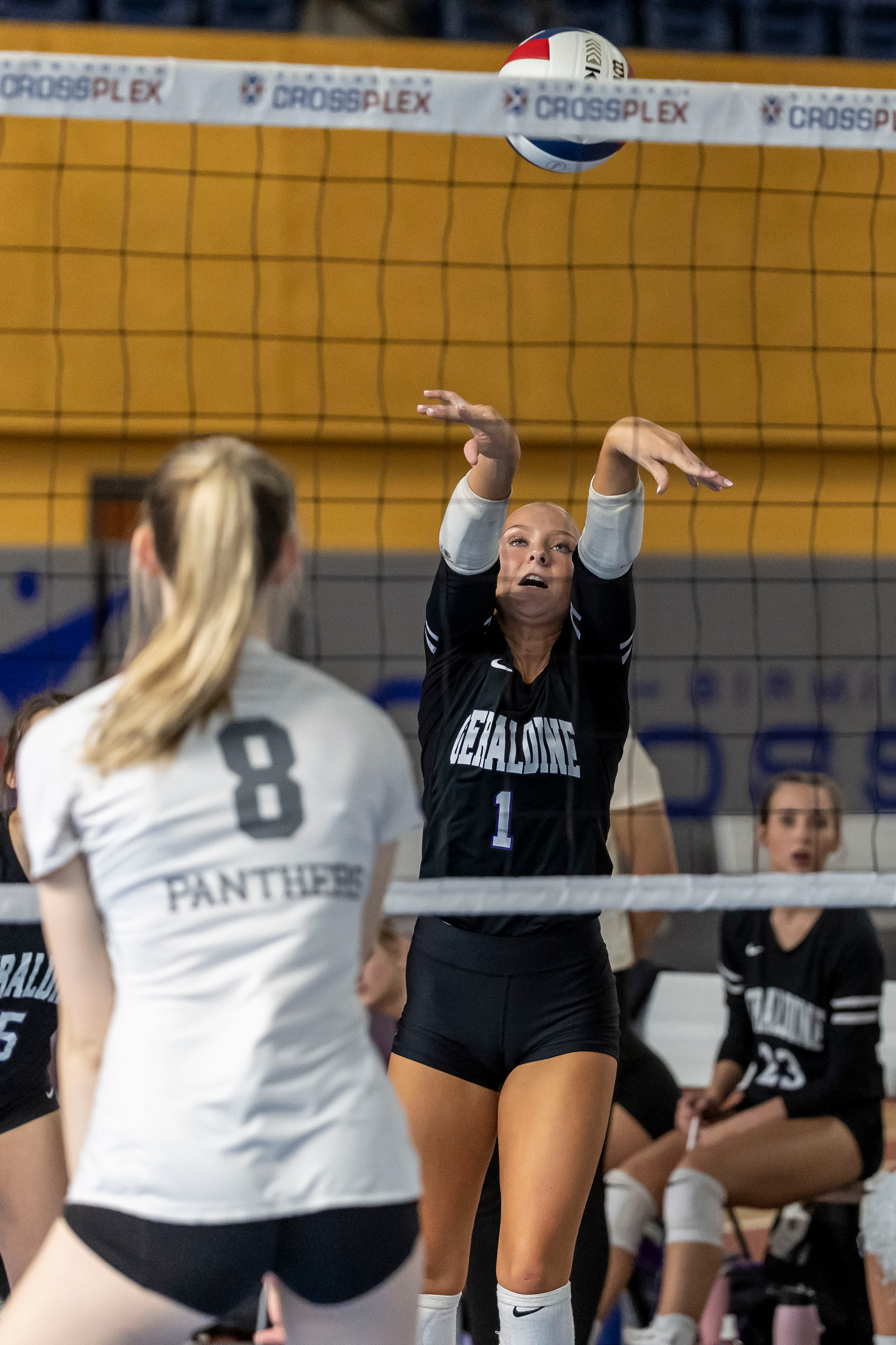 AHSAA Volleyball Elite Eight