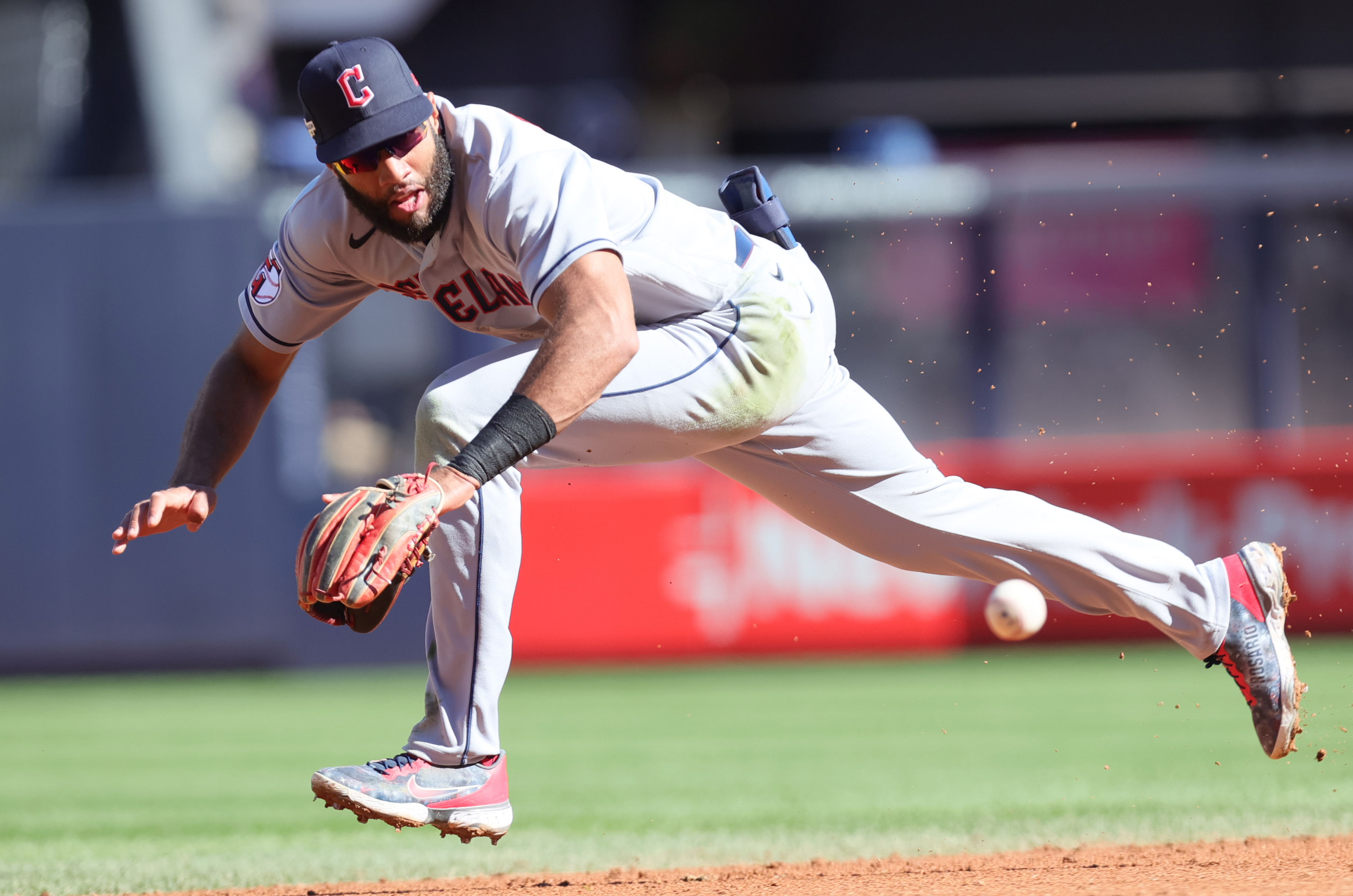 Midges return as Guardians prepare to face Yankees in ALDS