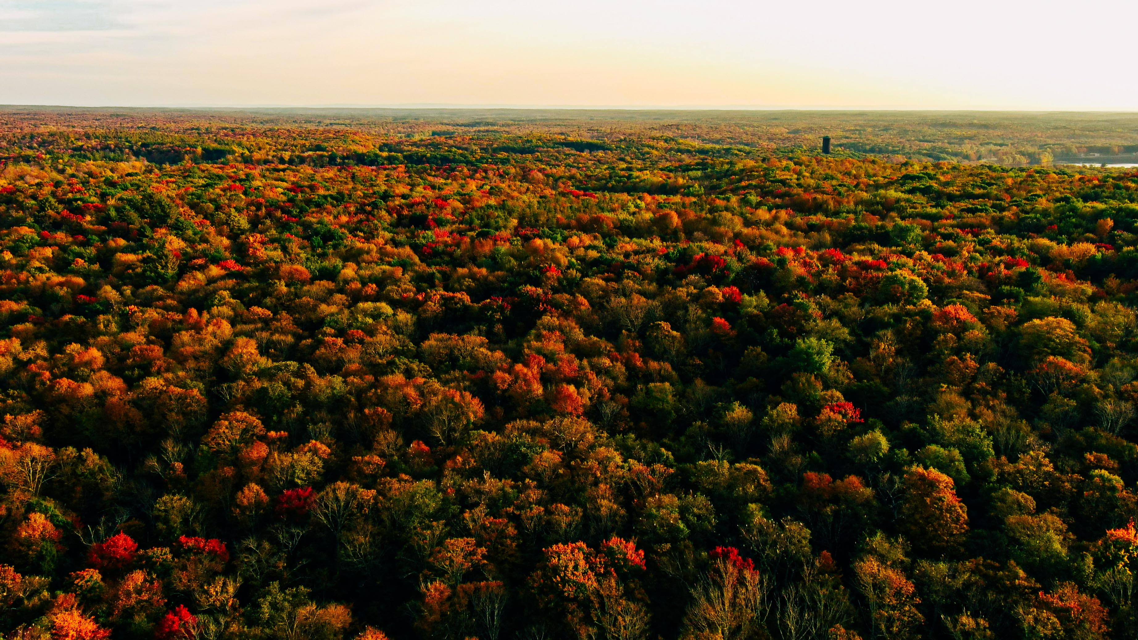 Upstate NY fall foliage report Leaves beautifully peak in Finger Lakes