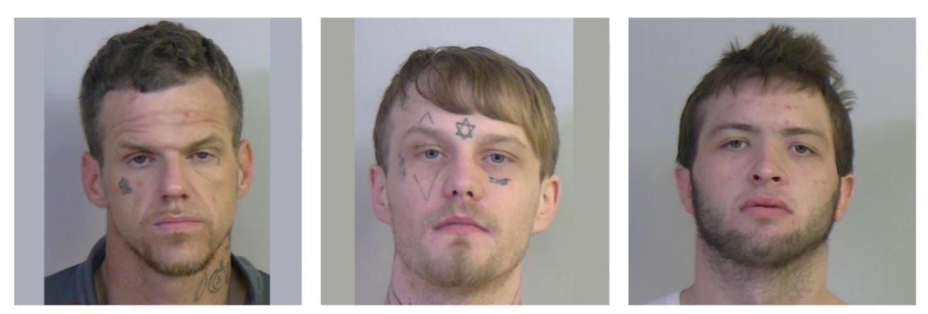 Tuscaloosa County Jail Inmate Search
