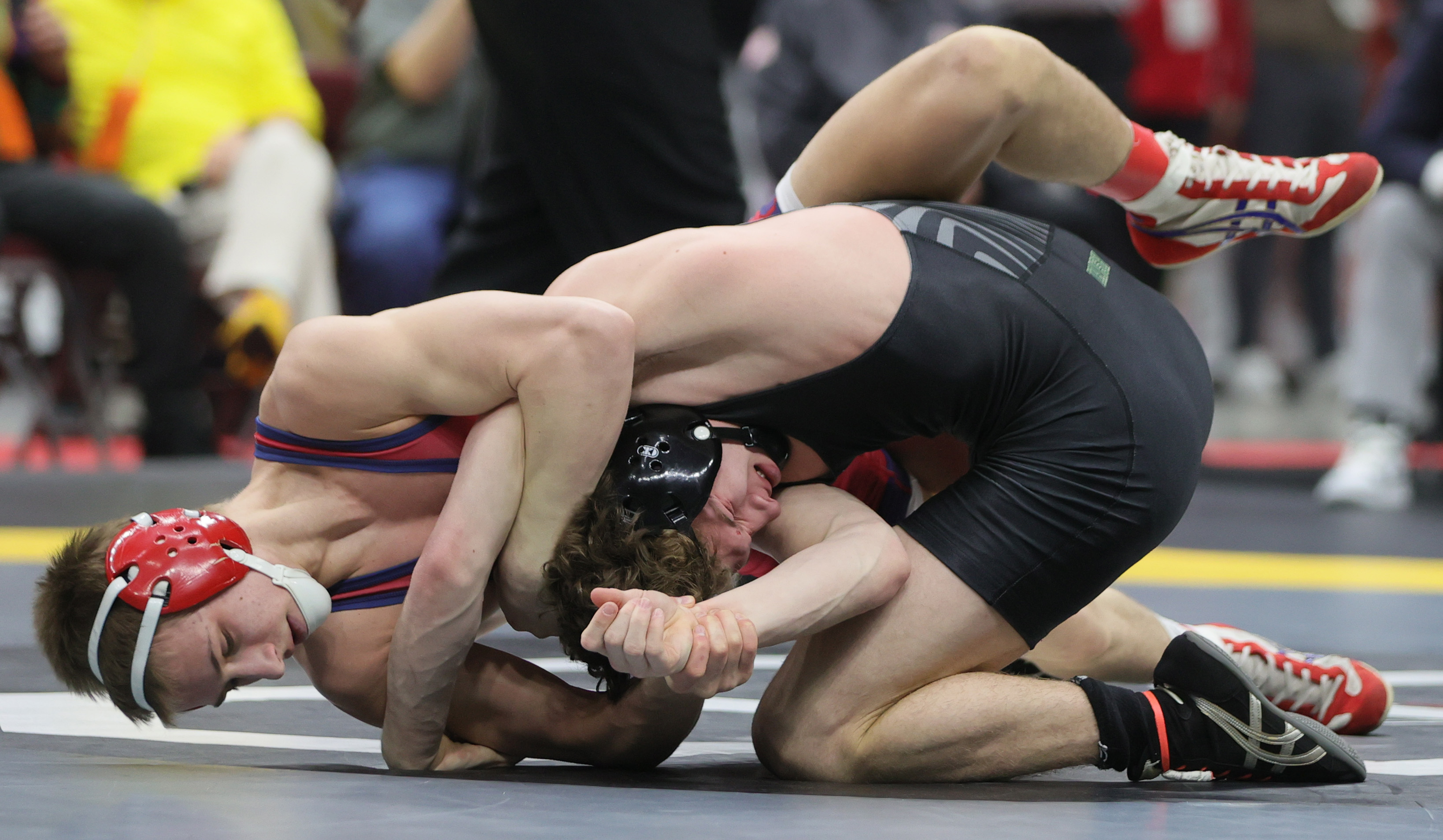 D2 Wrestling Championships, March 12, 2013