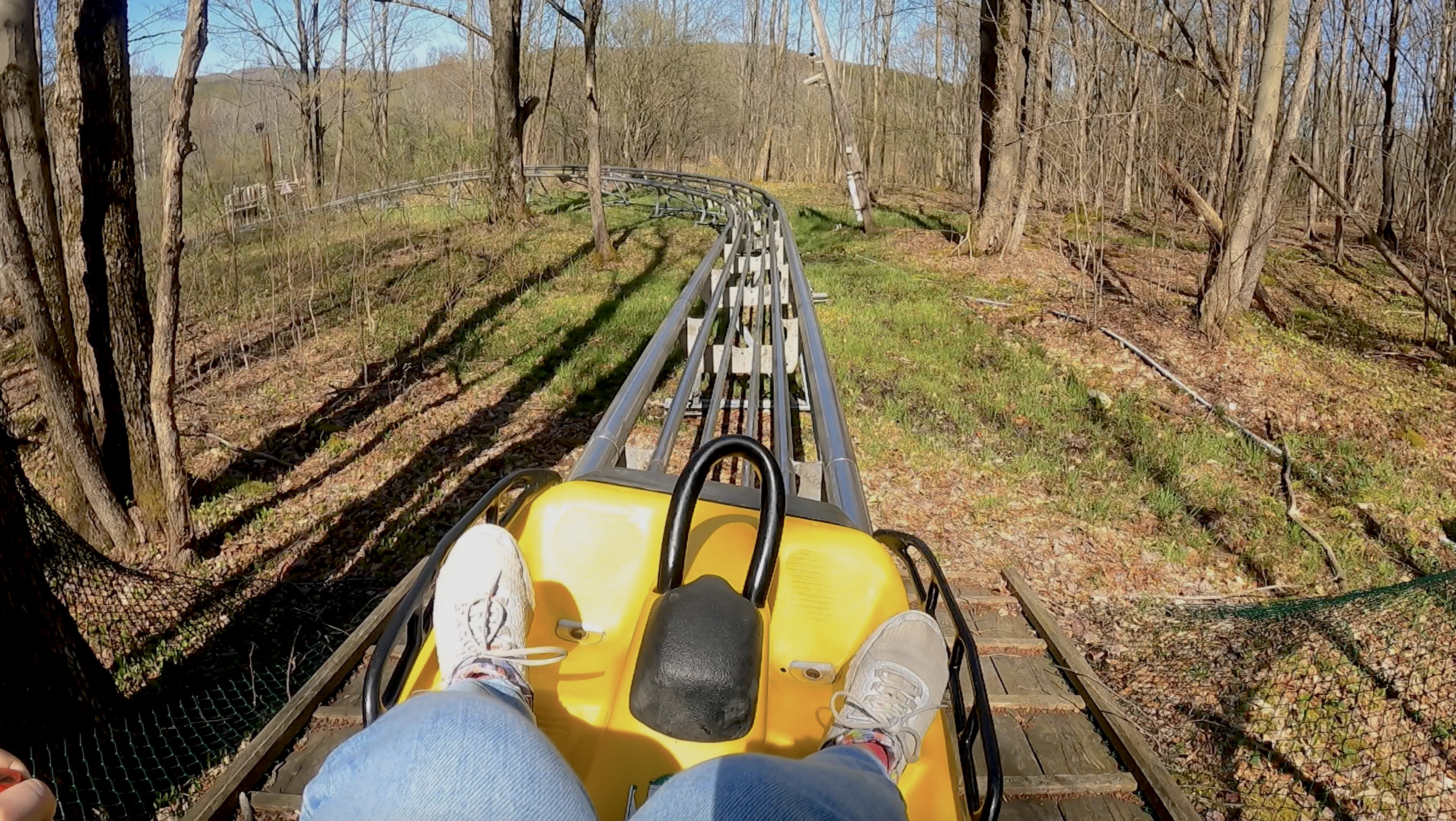 Adventures in Upstate NY Zip line through the forest at Greek