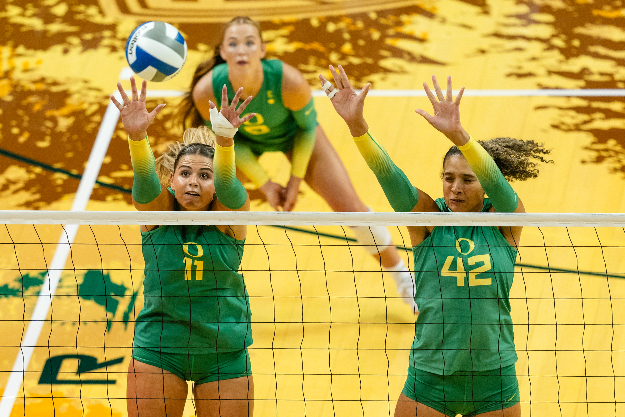 Oregon Ducks volleyball vs. Oregon State Beavers - oregonlive.com