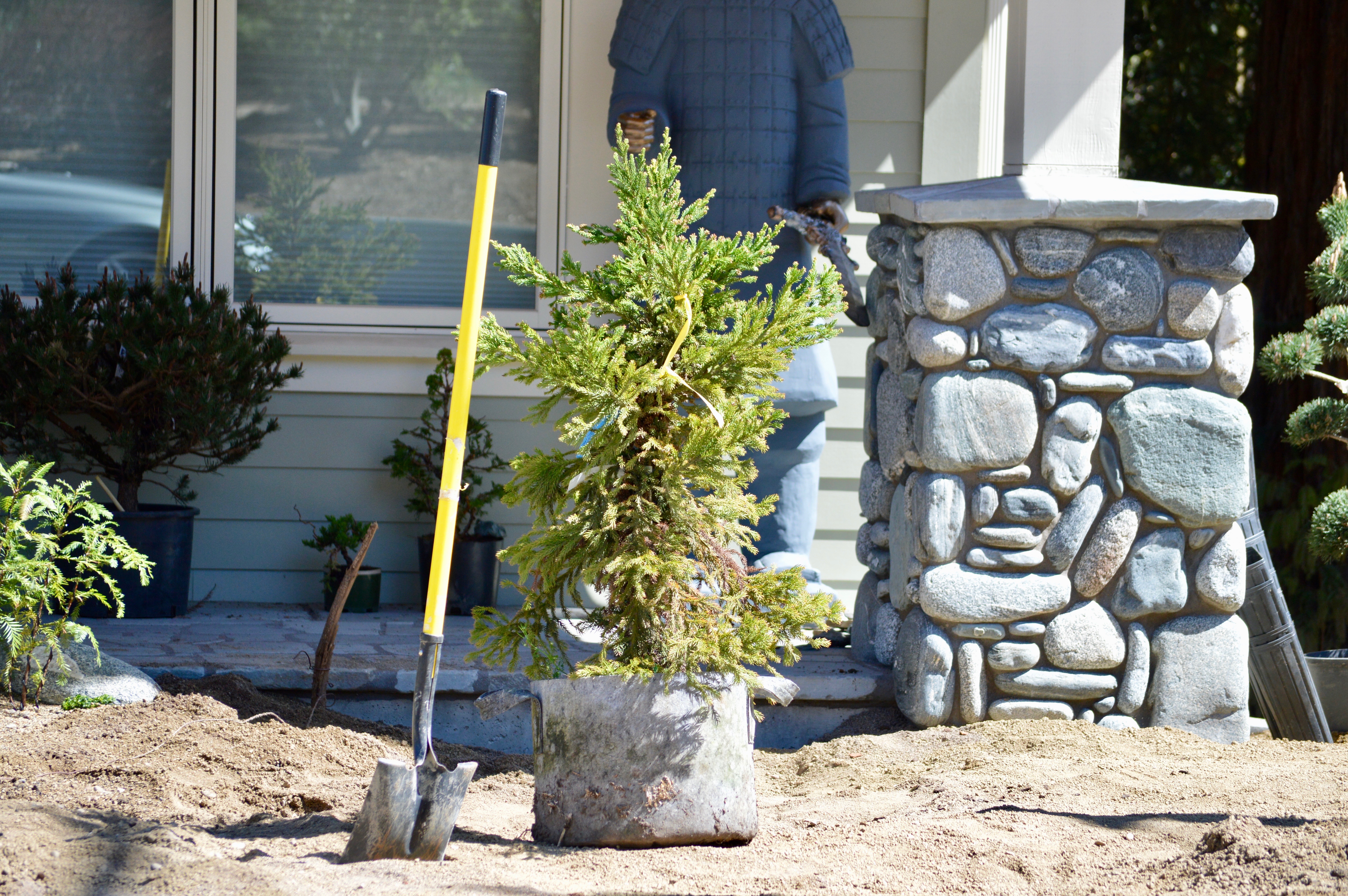 Bonsai landscape designer Lee Cheatle - oregonlive.com