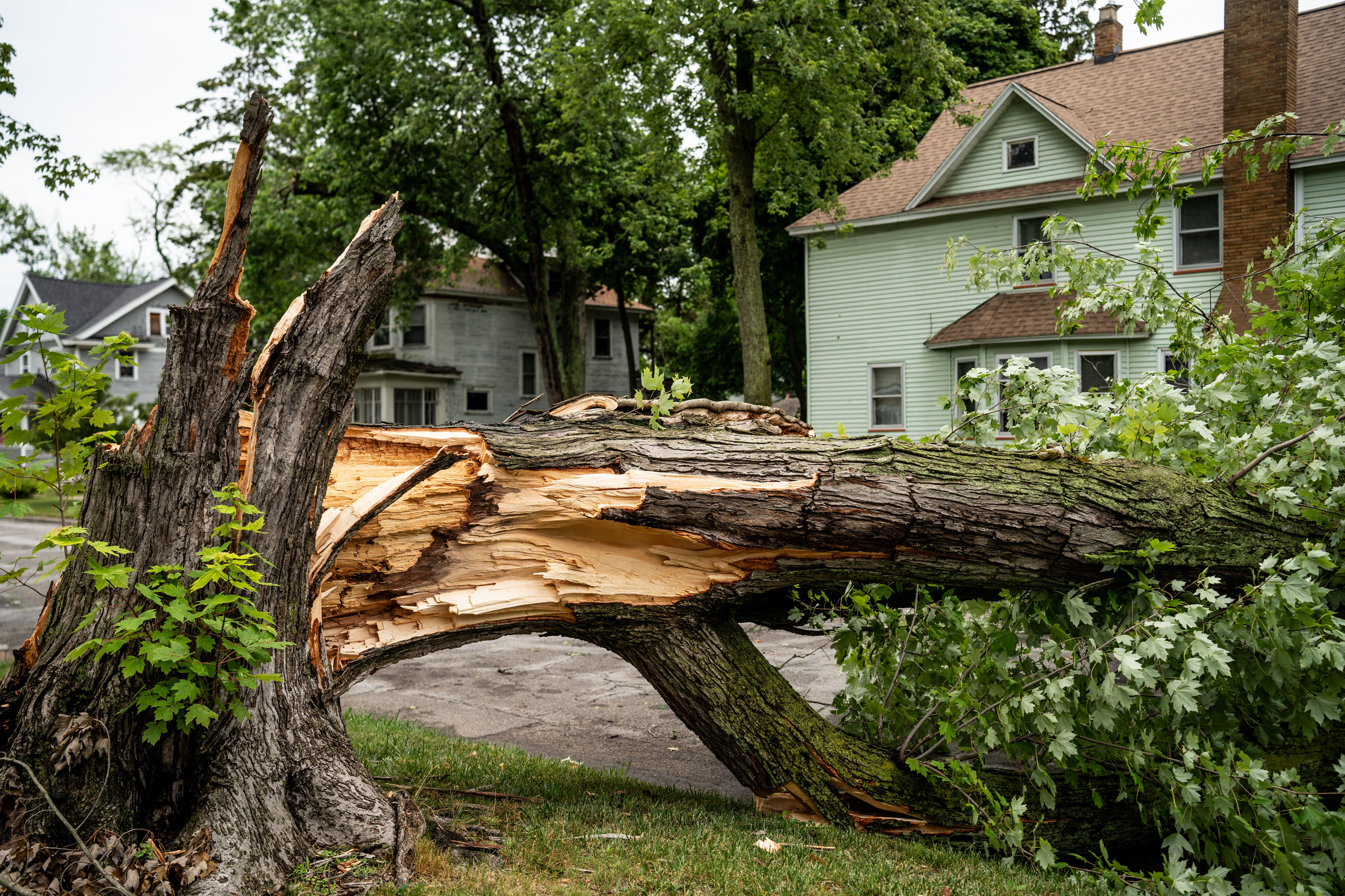 Storm leaves thousands in Muskegon without power, tree damage - mlive.com