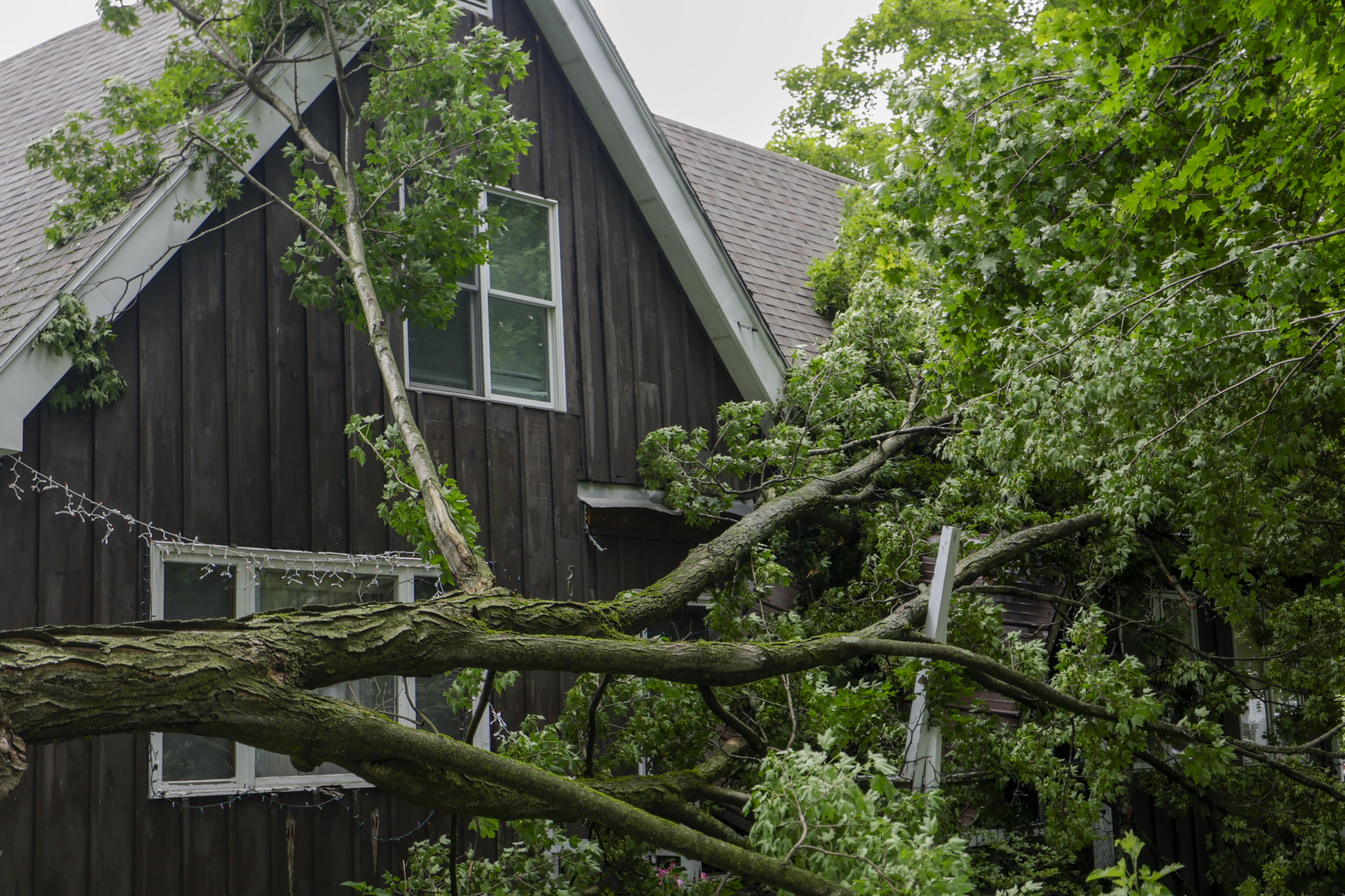 Trees and poles down, roads flooded by storms that hit Central New York ...