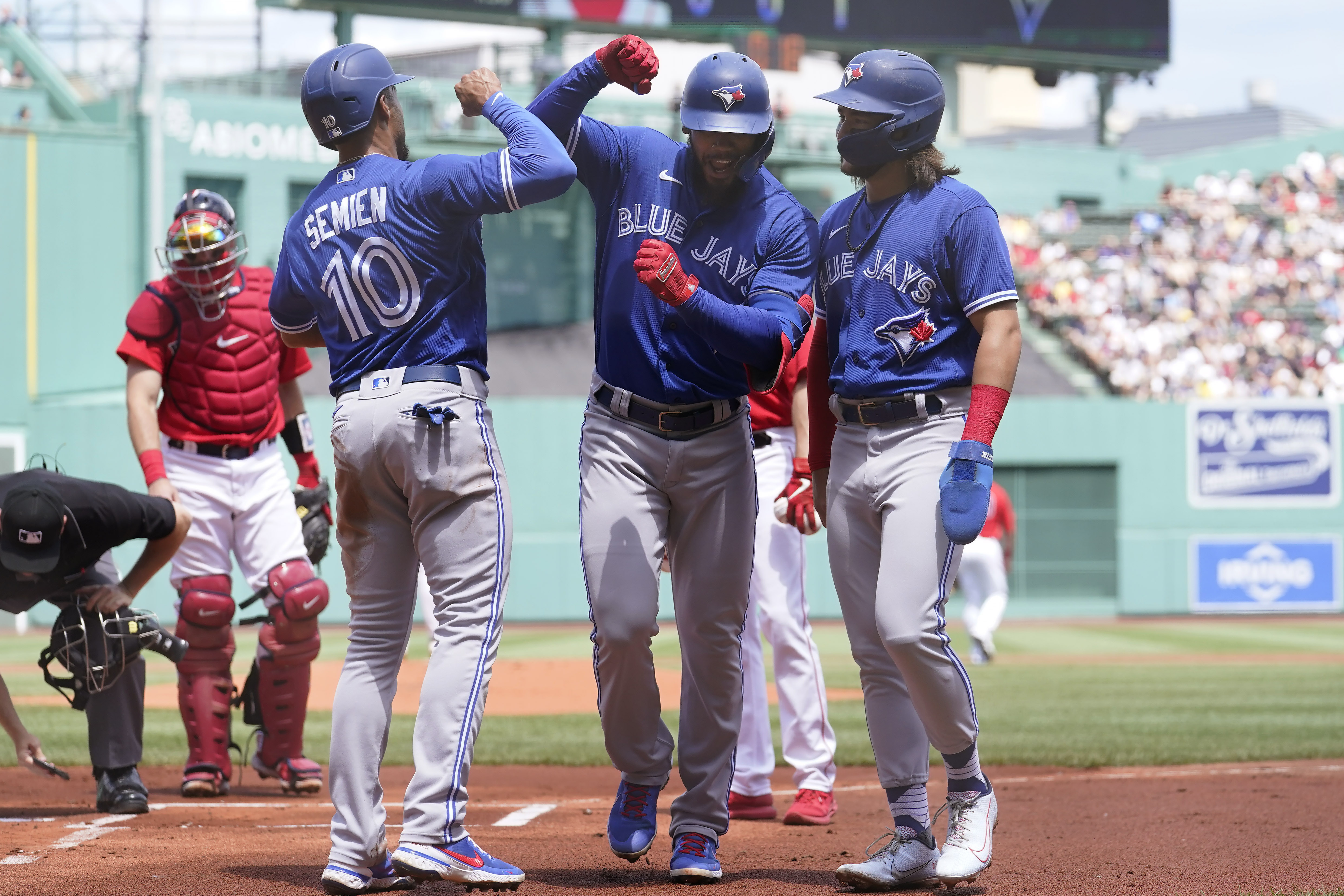 Red House Garden: Balding Blue Jays